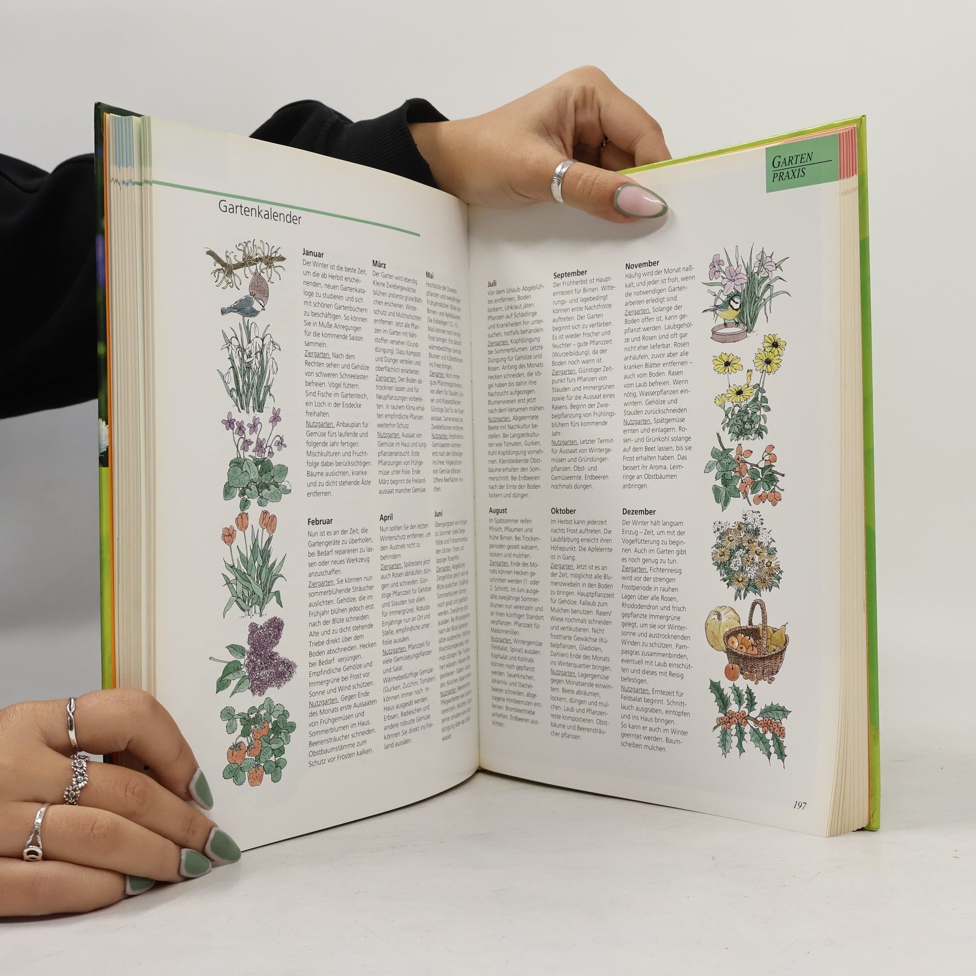 Herta Simon Das große GU Gartenbuch