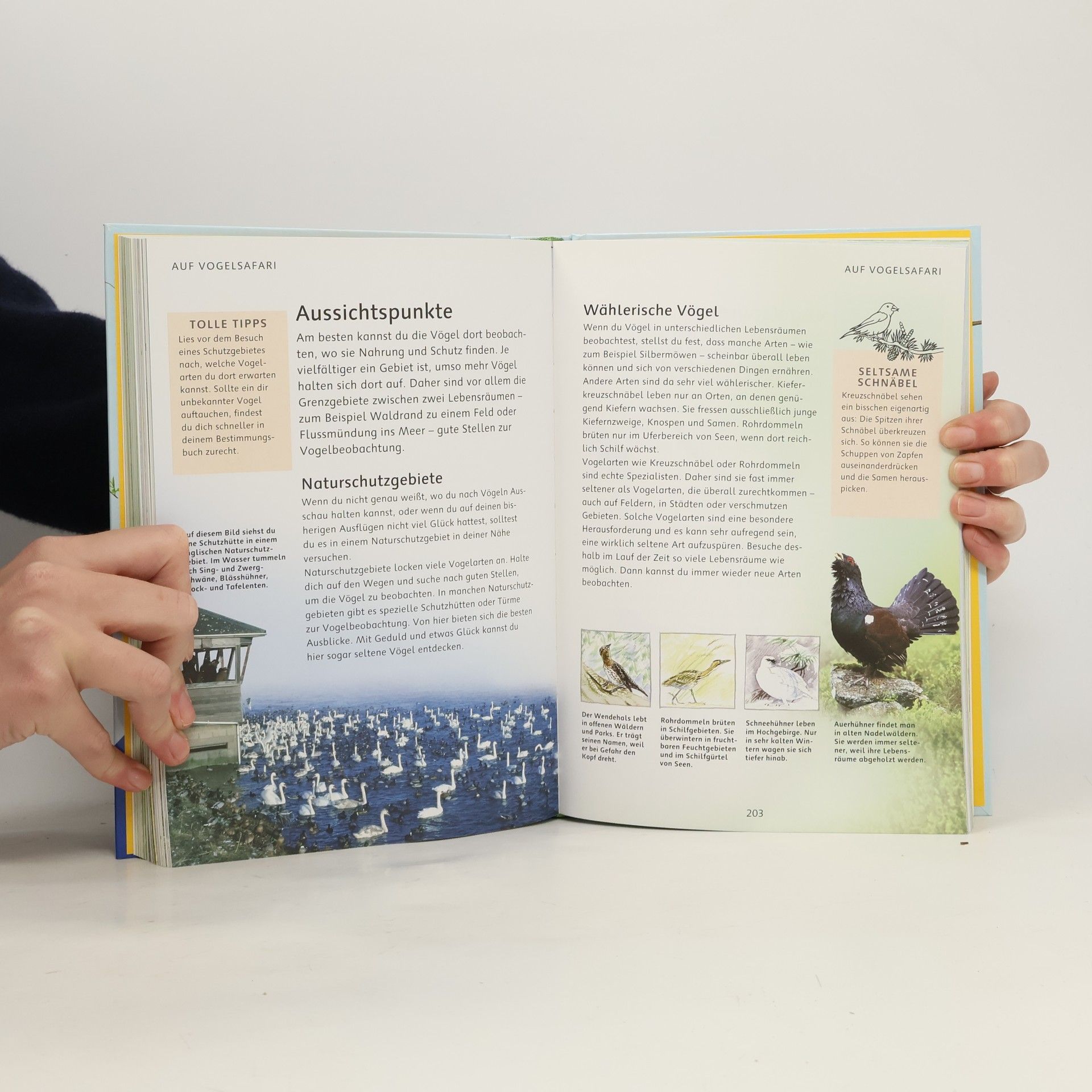 Wolfgang Hensel Mein Natur. Erlebnisbuch