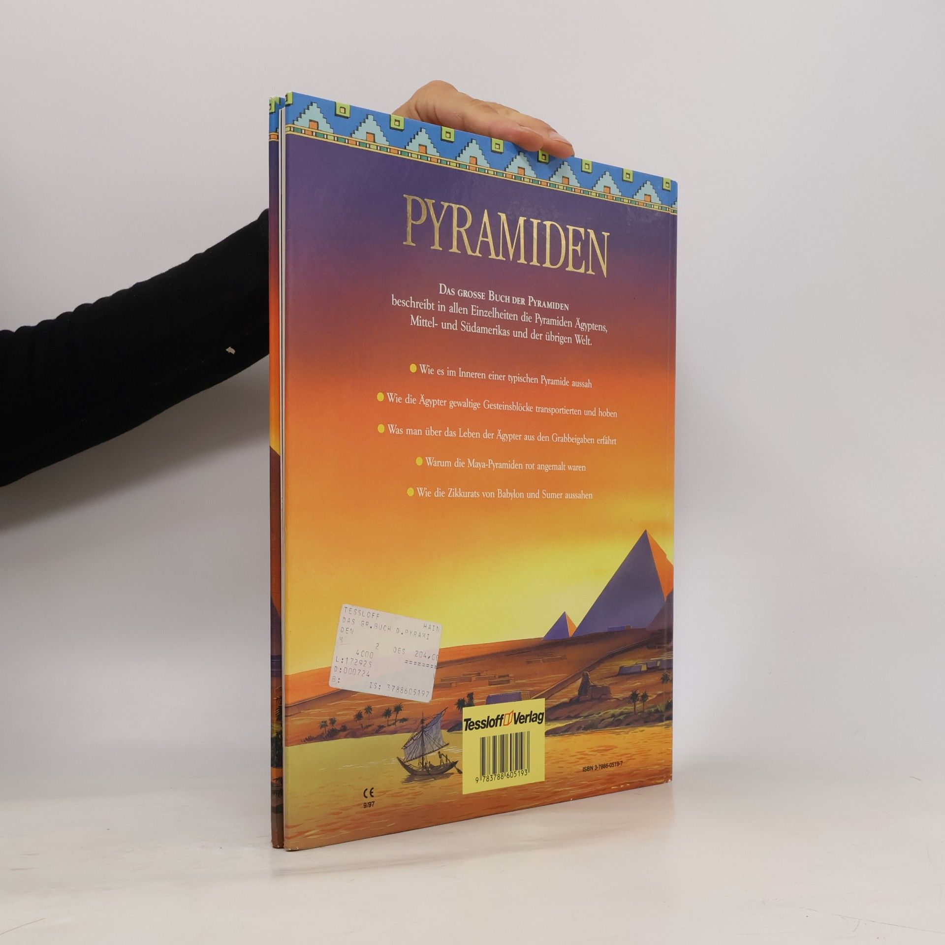Anne Marie Millard Das große Buch der Pyramiden