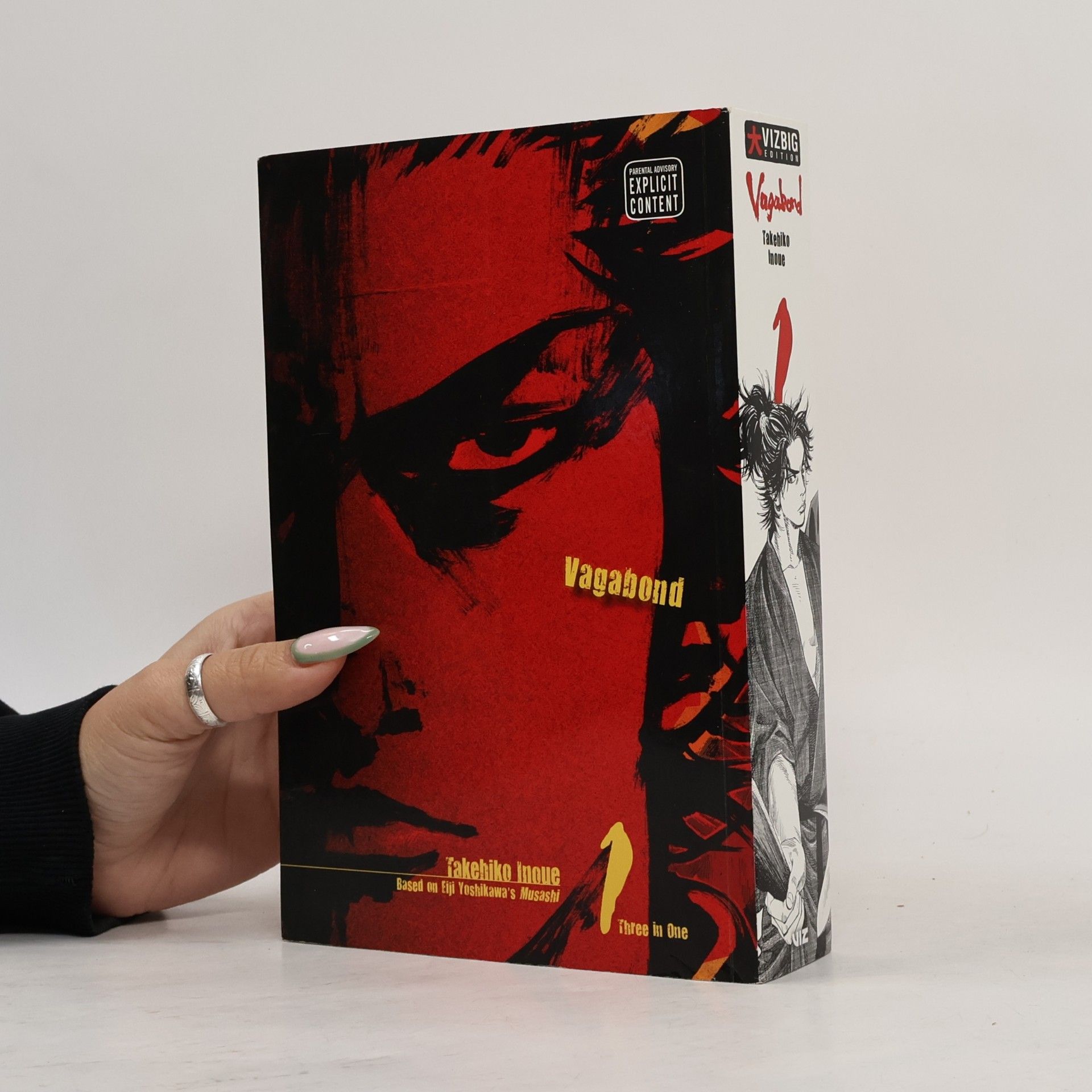 Vagabond Vol. 1