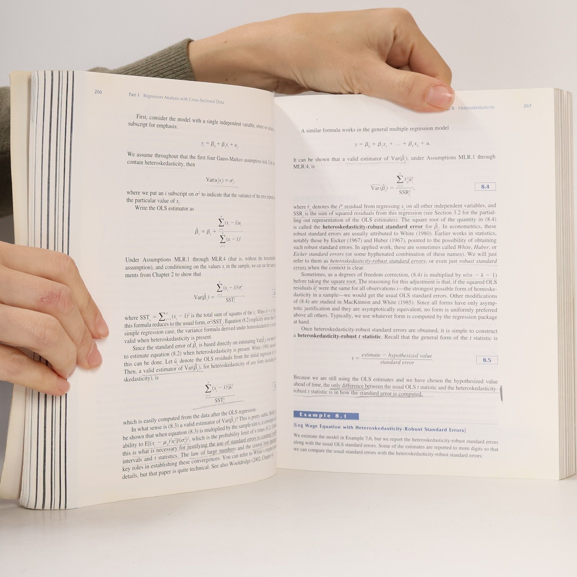 Jeffrey Wooldridge Introductory Econometrics