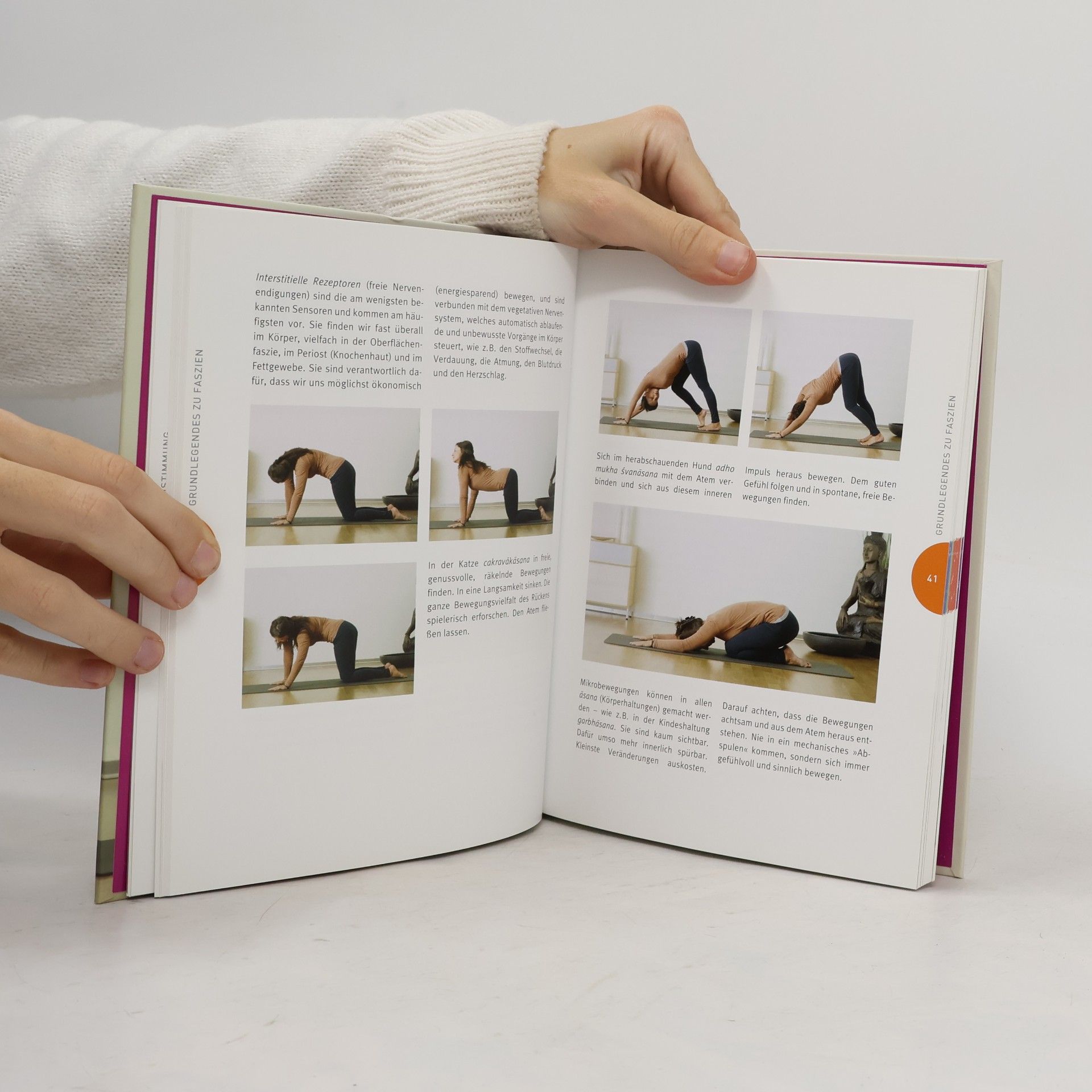 Lucia N. Schmidt Faszien-Yoga
