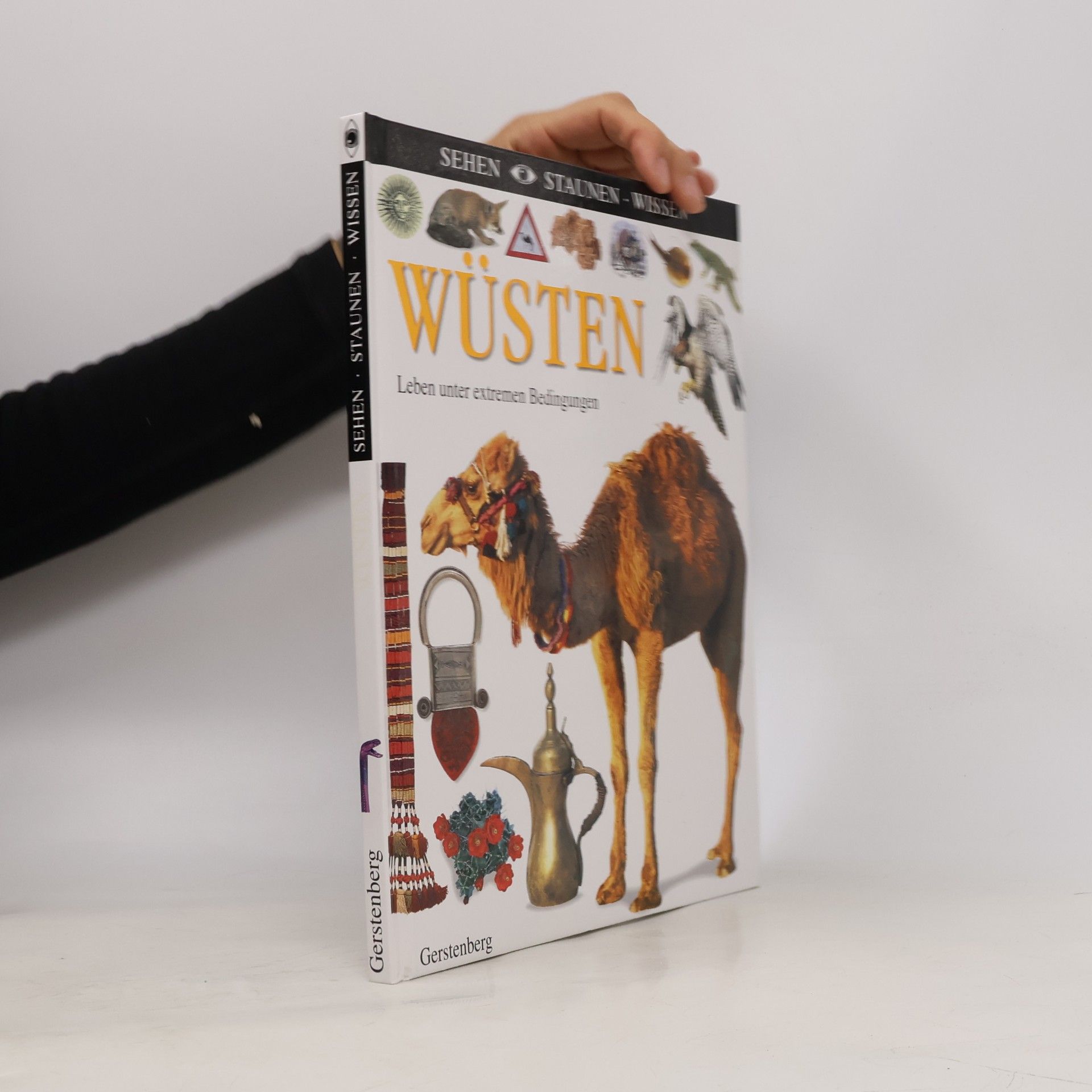 Wüsten