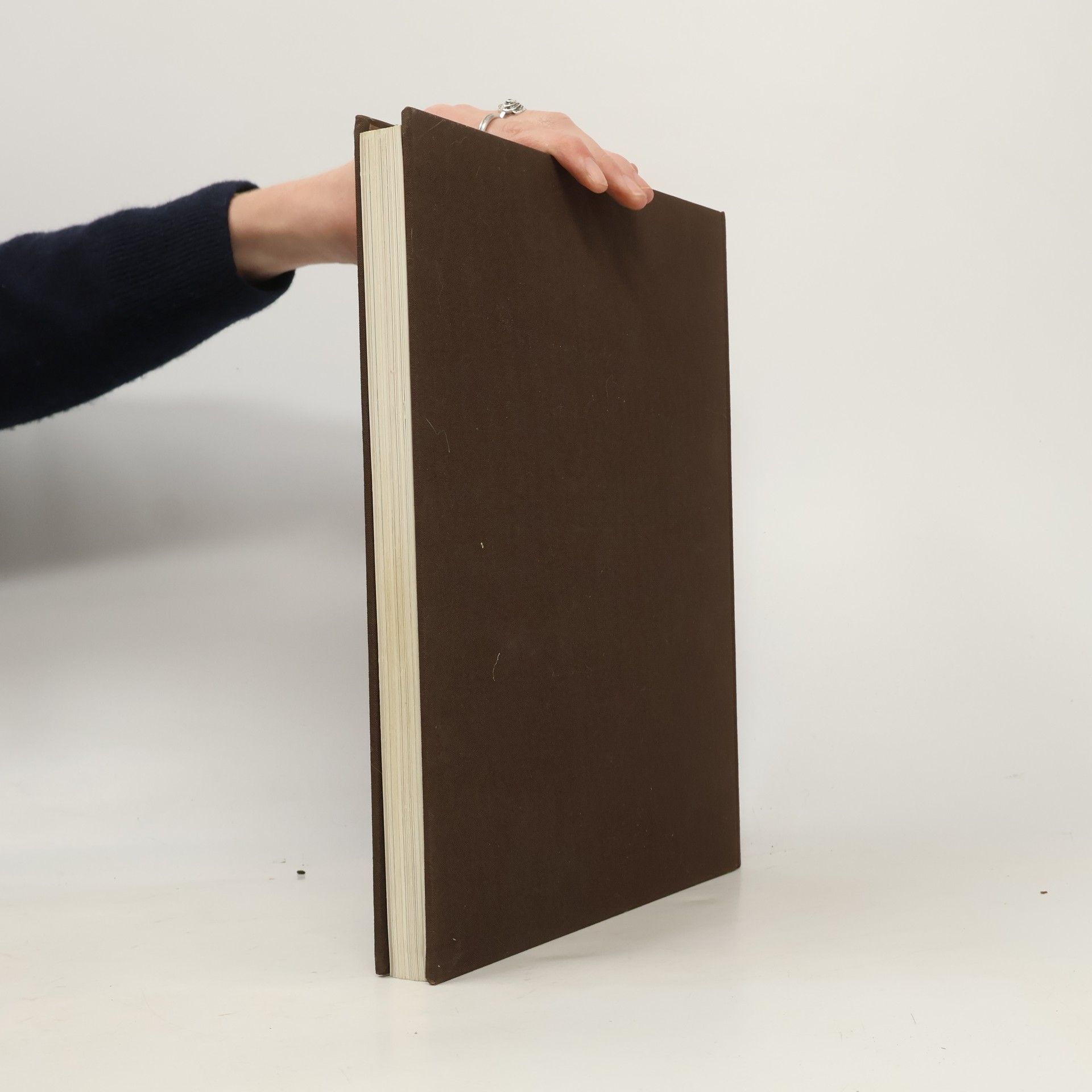 Barbara Krupinski Das große Buch der Pasteten