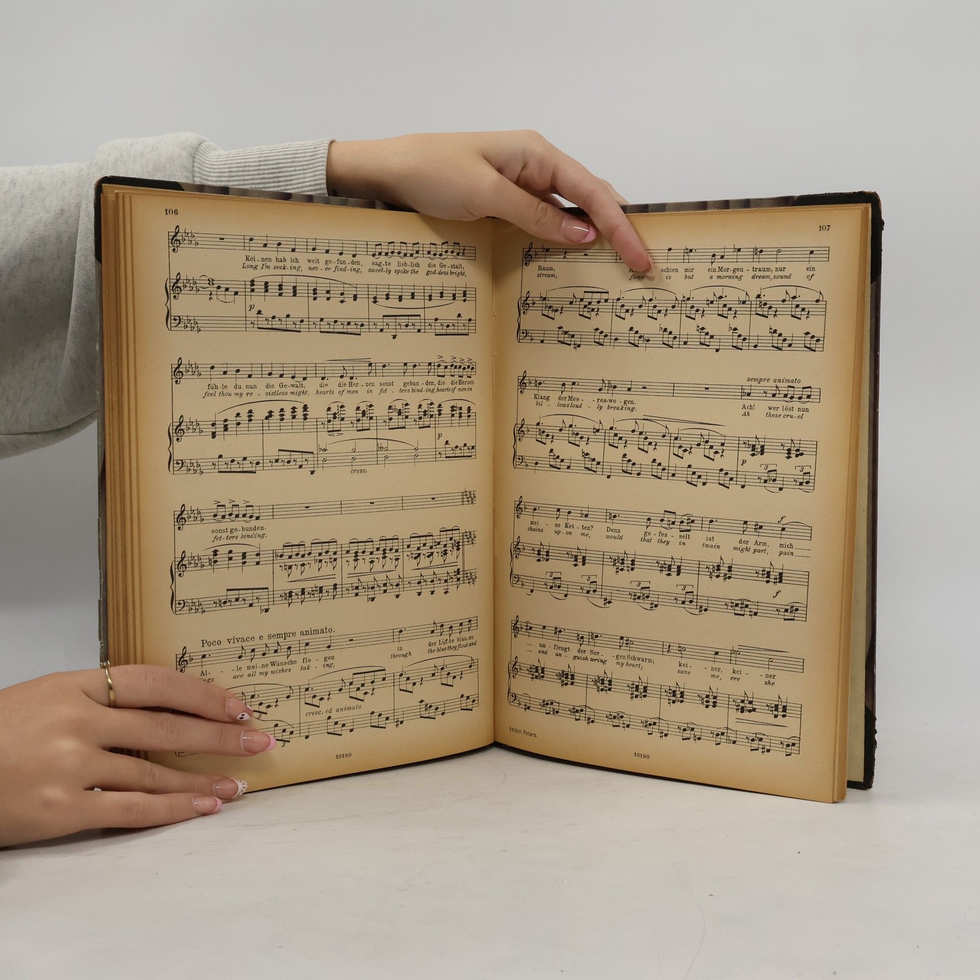 Johannes Brahms BRAHMS-LIEDER