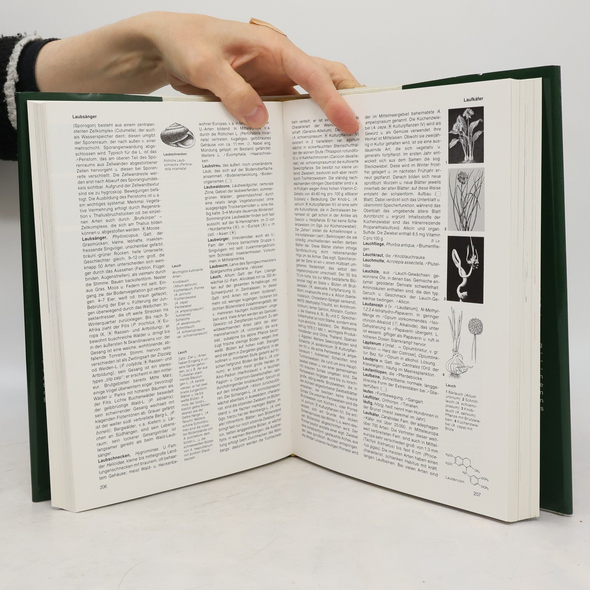 Lexikon der Biologie