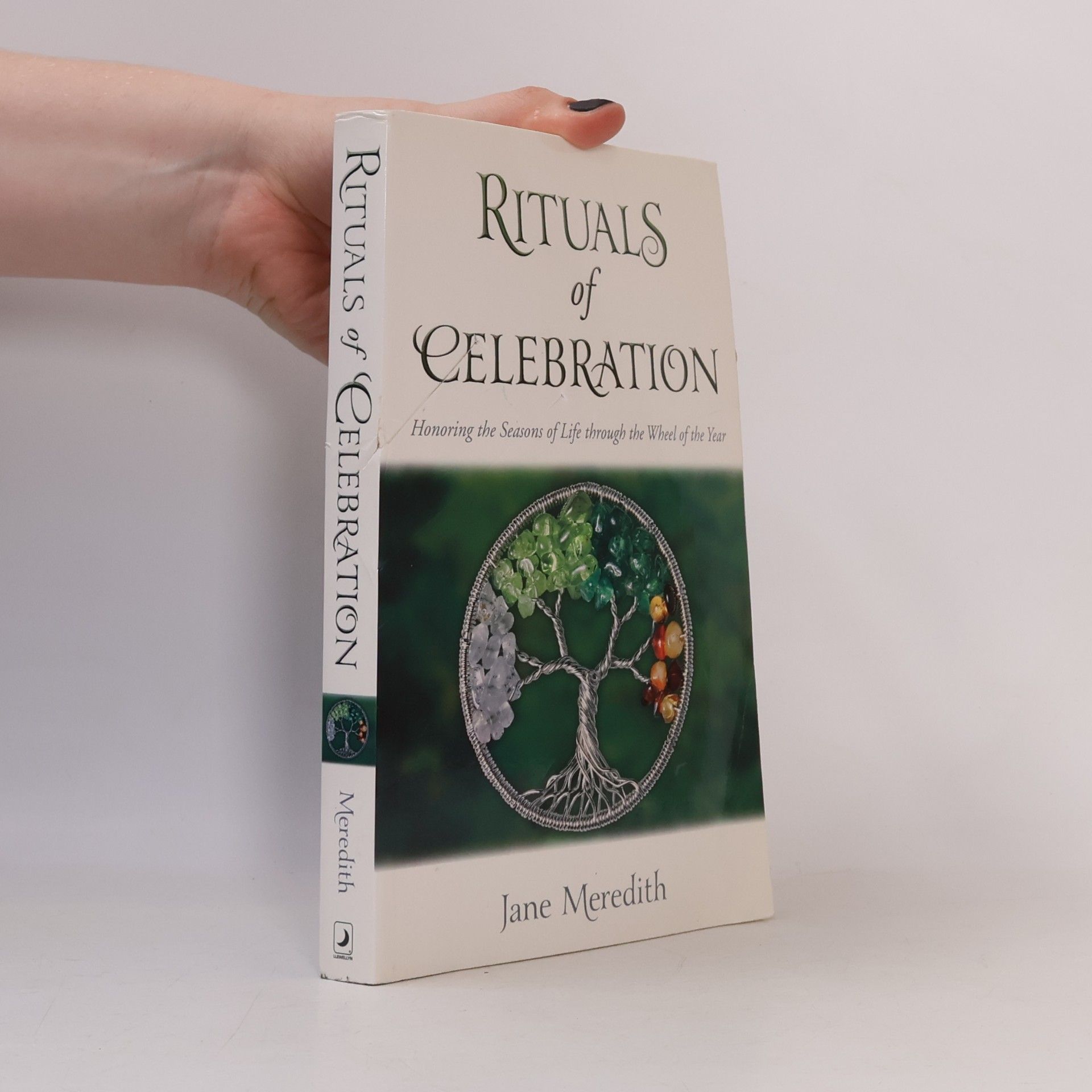 Jane Meredith Rituals of Celebration
