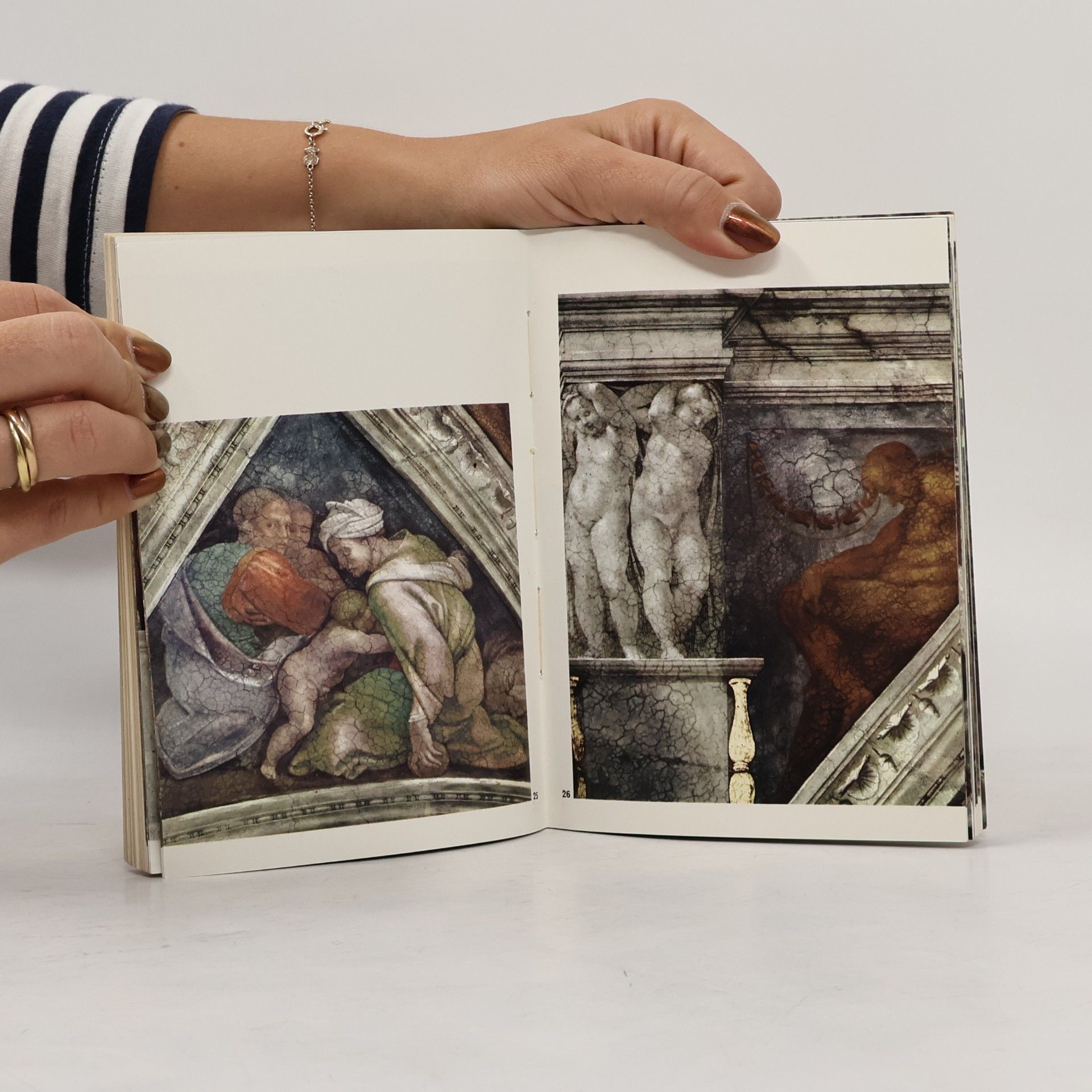 Luciano Bellosi Michelangelo. Painting.