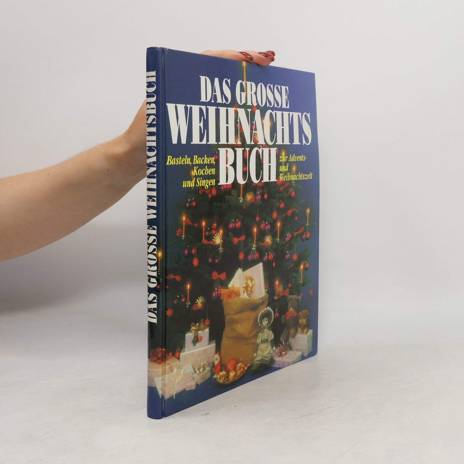 Kolektiv autorů Das Grosse Weihnachtsbuch