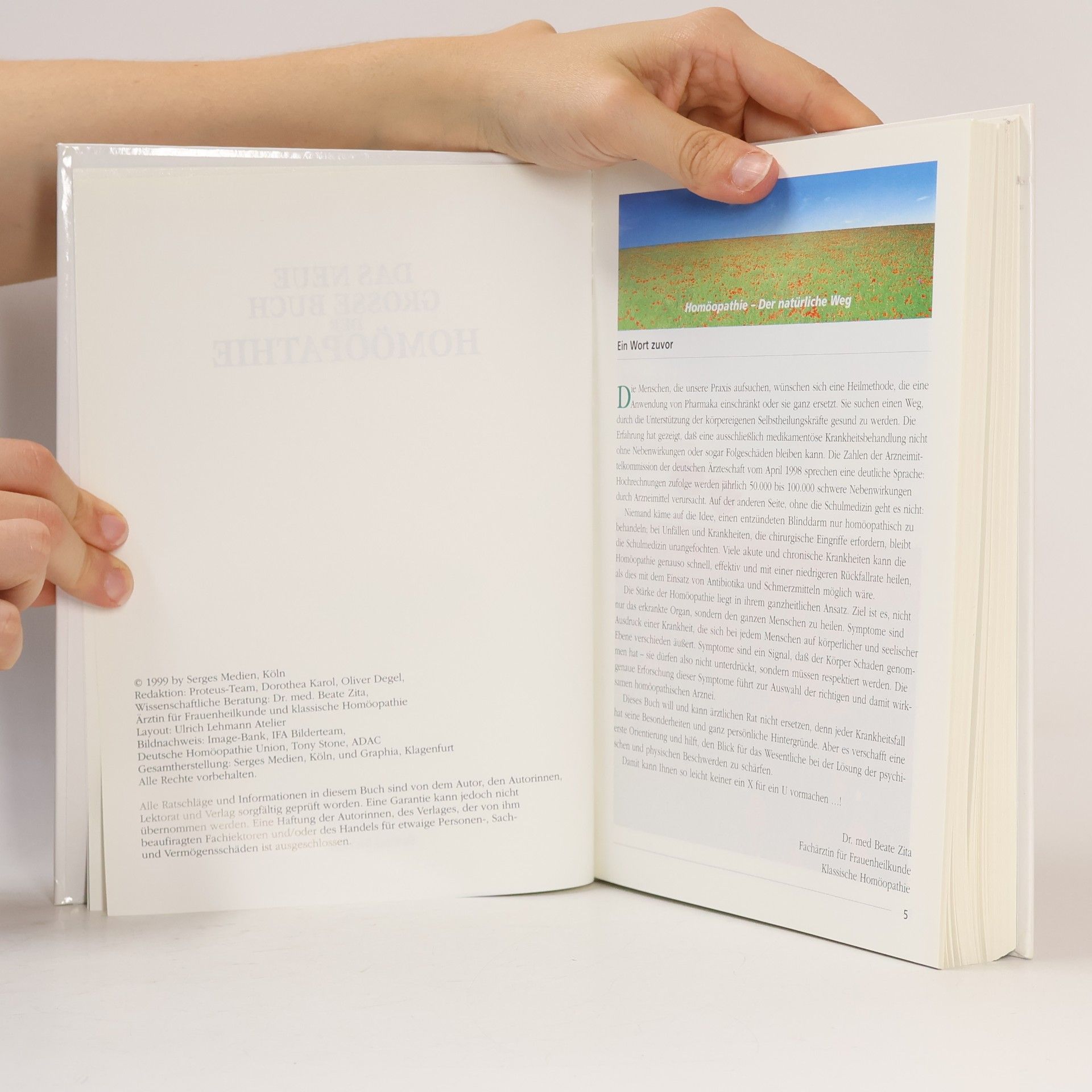 AA.VV. Das neue grosse Buch der Homöopathie