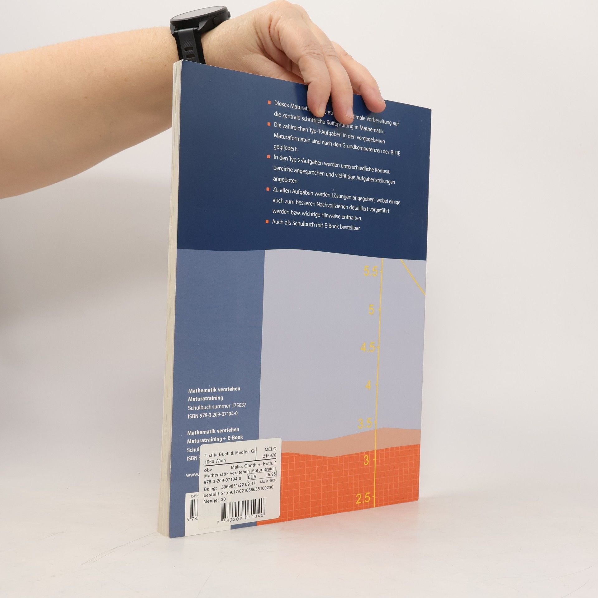 Autores varios Mathematik verstehen