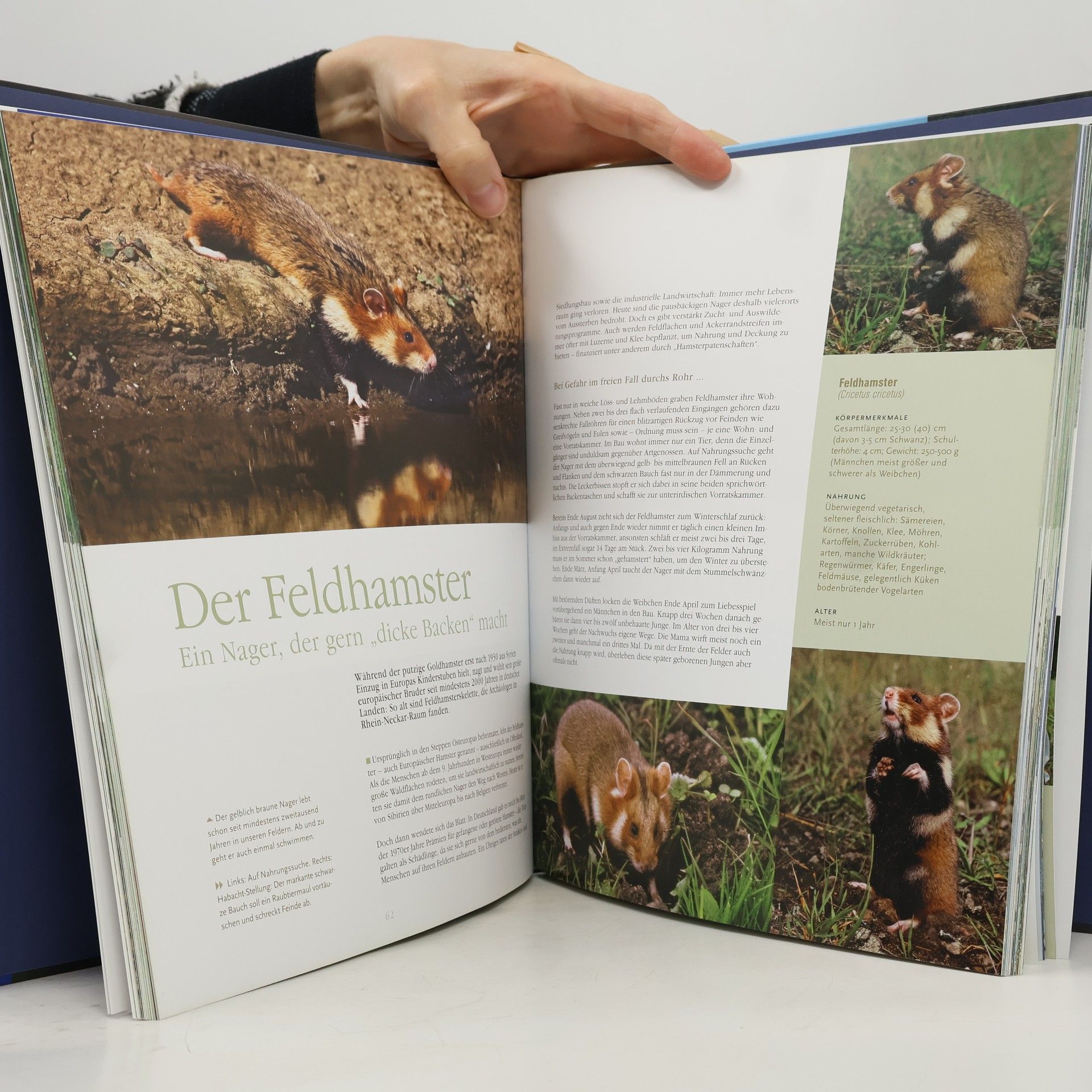 Ekkehard Ophoven Deutschlands wilde Tiere