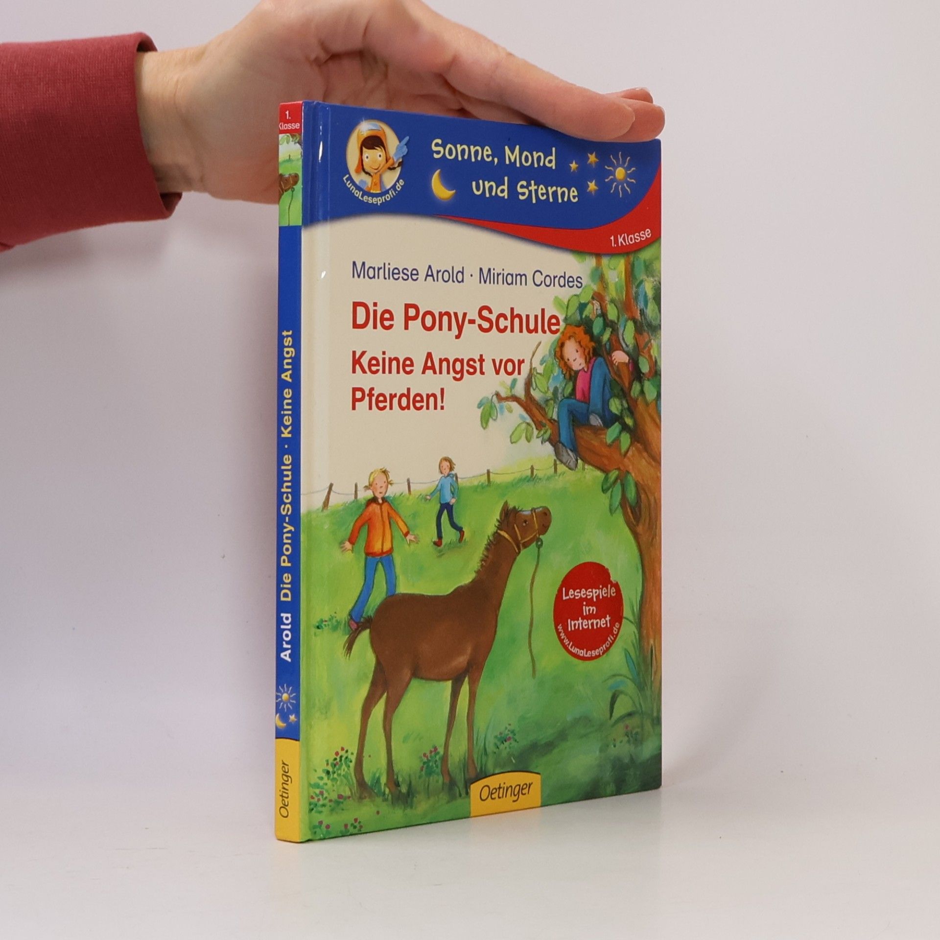 Die Pony-Schule - keine Angst vor Pferden