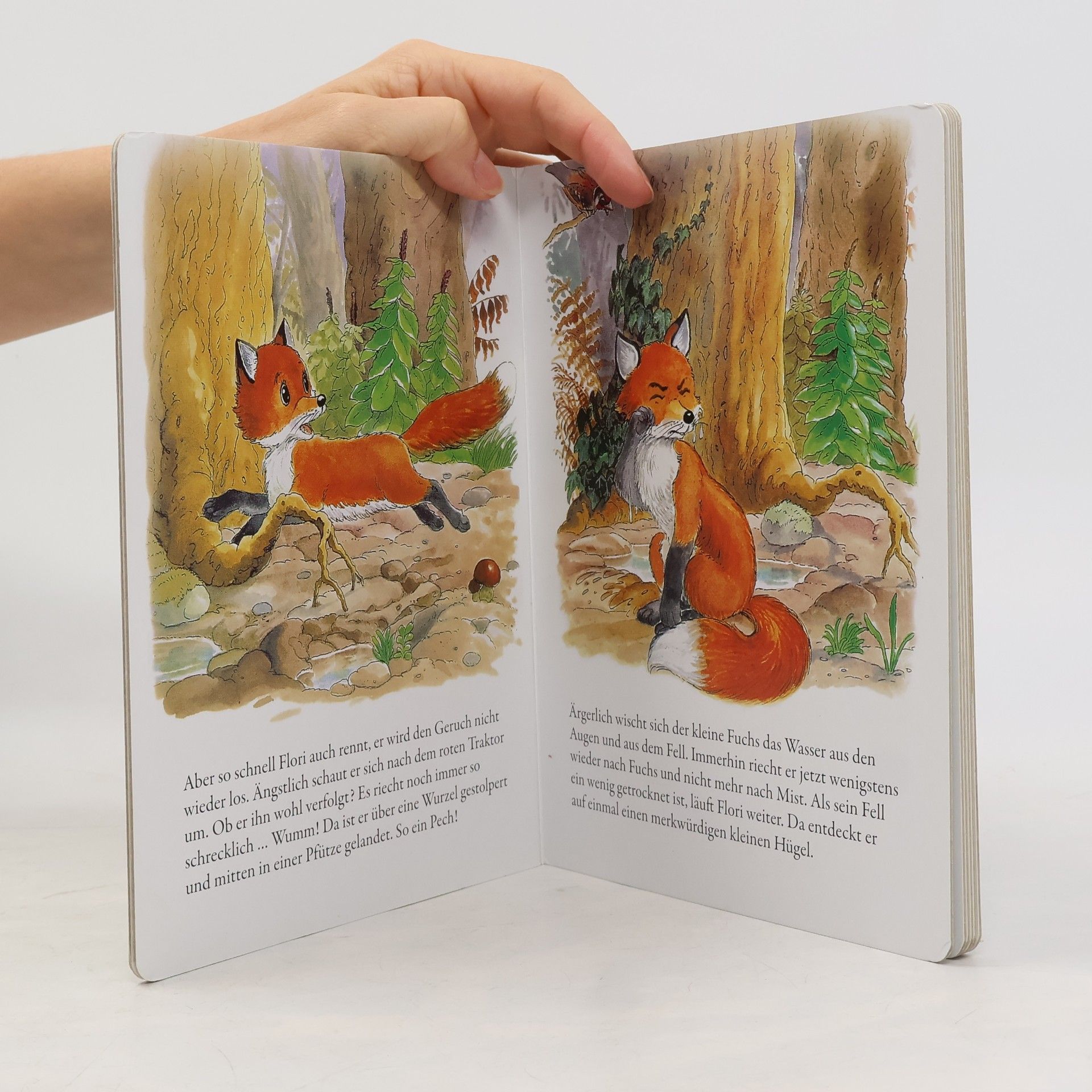 Various authors Meine schönsten Tiergeschichten. Flori, der kleine Fuchs