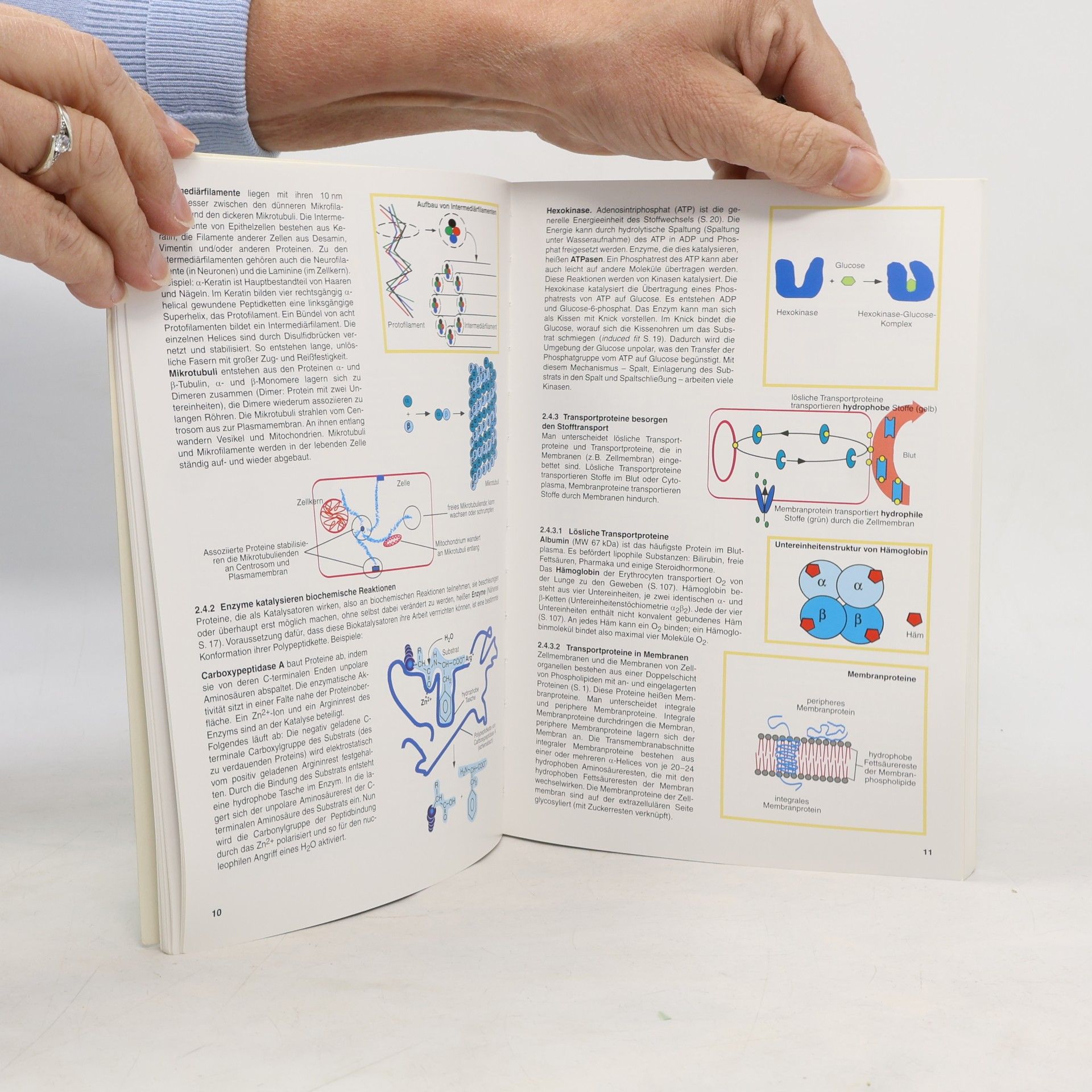 Hubert Rehm Biochemie light