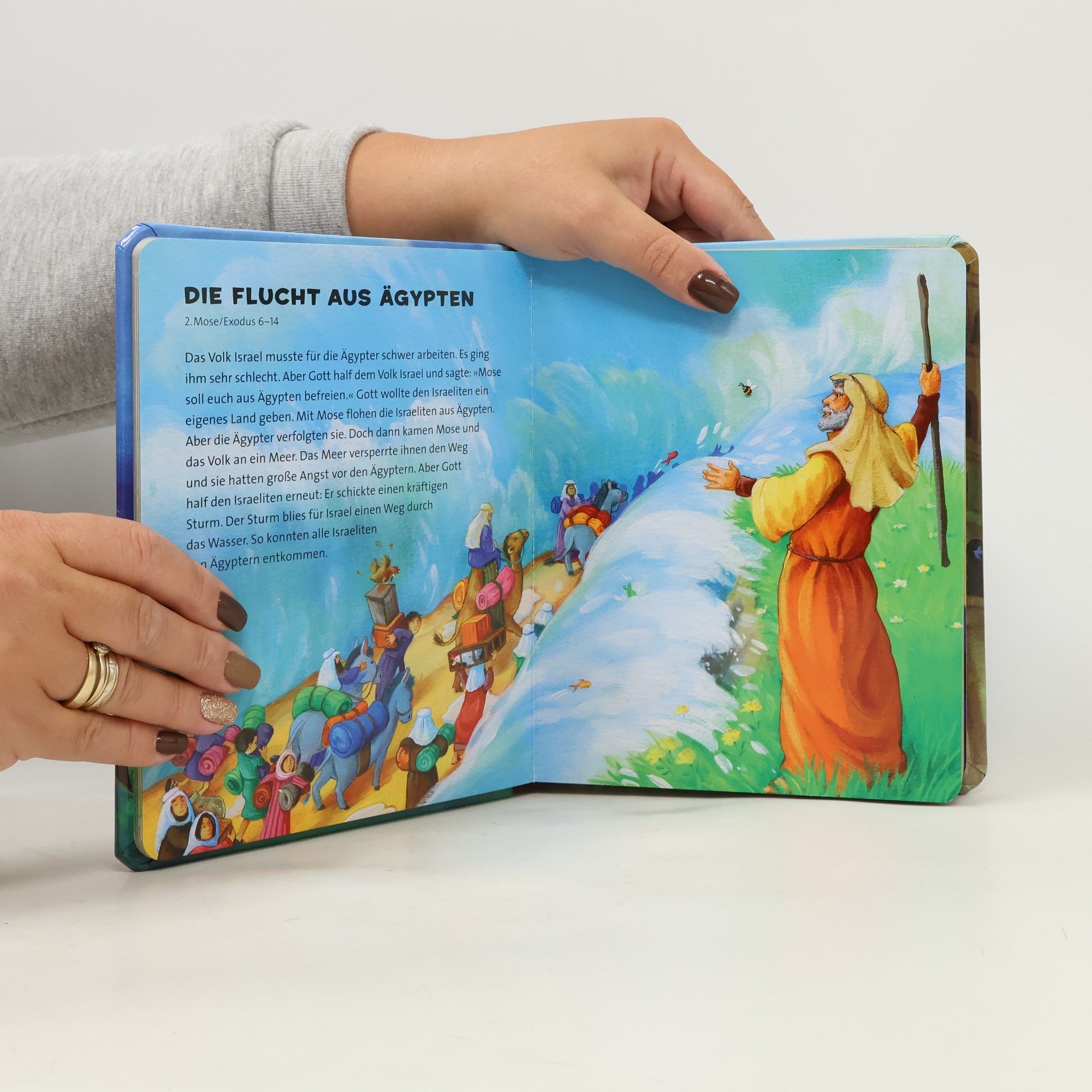 Charlotte Thoroe Meine kleine Bibel