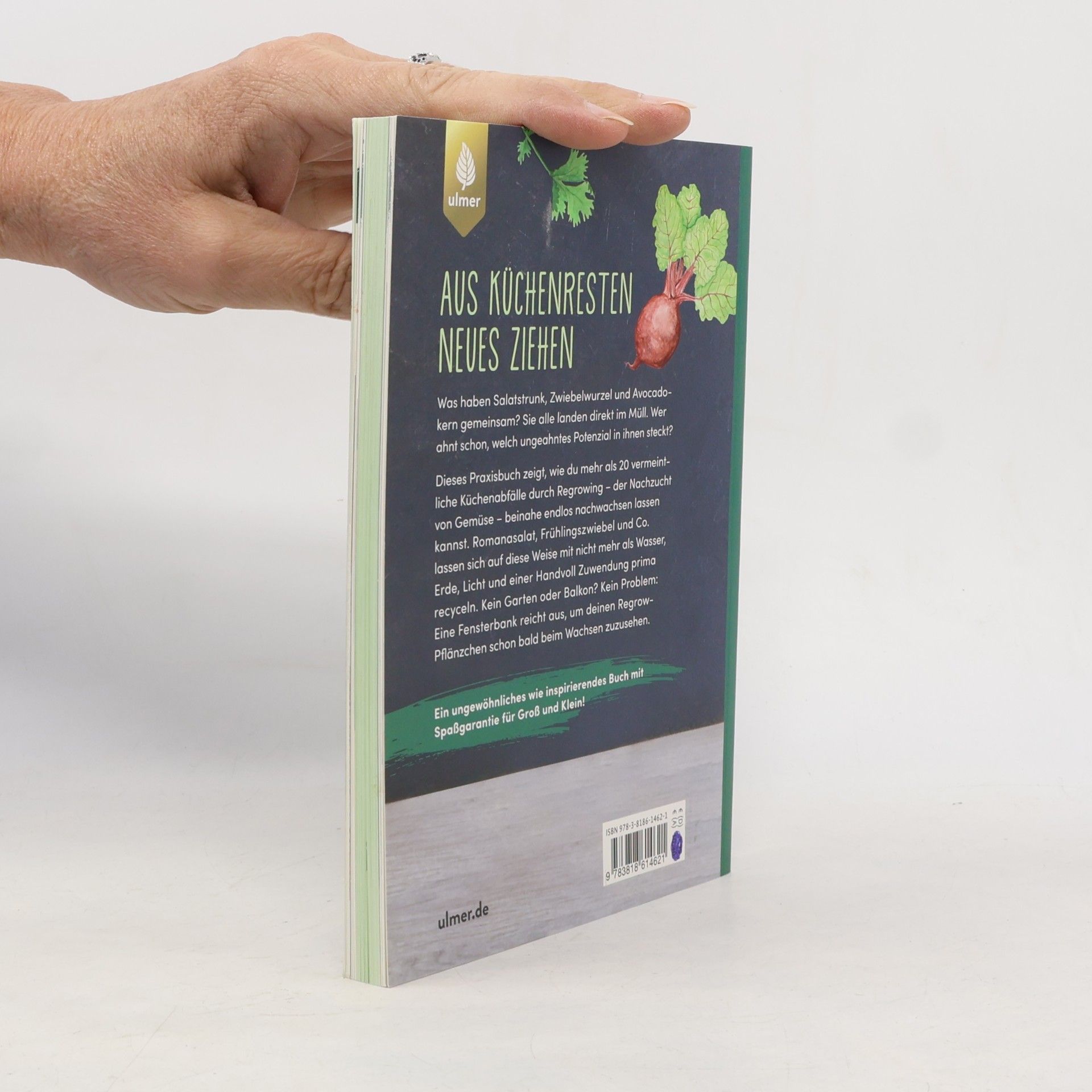 Melissa Raupach Regrow your veggies