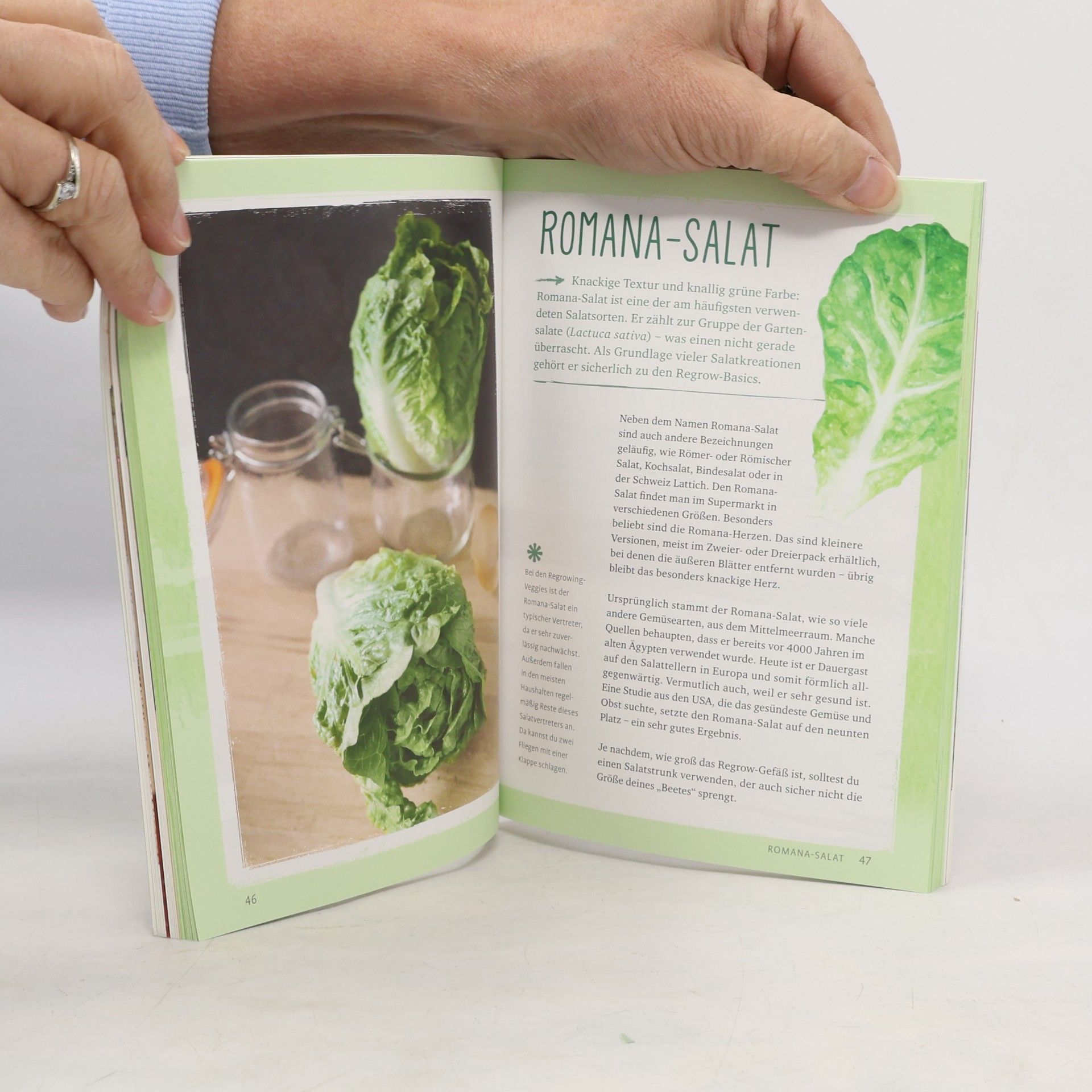 Melissa Raupach Regrow your veggies
