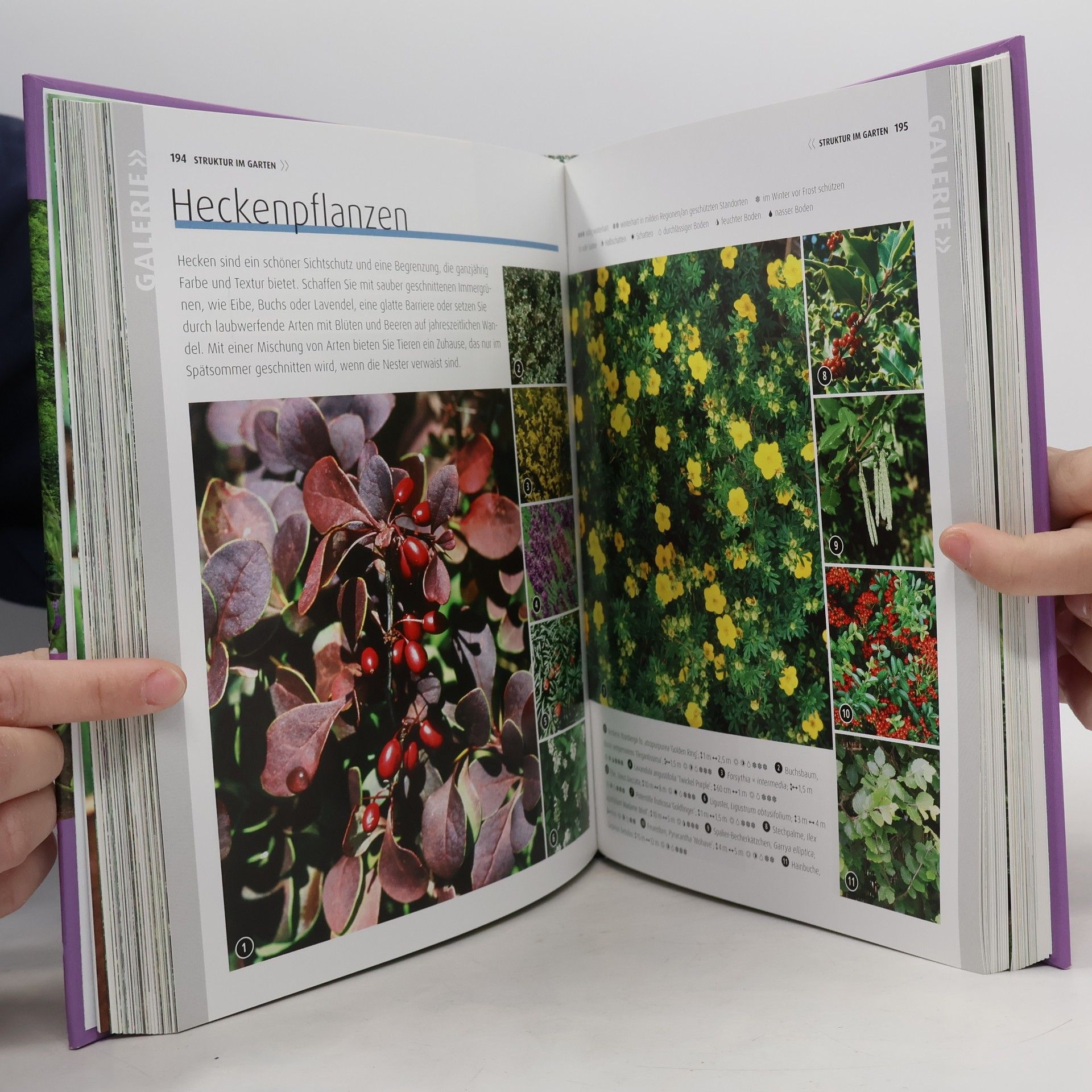 Zia Allaway Ideen & Projekte für jeden Garten