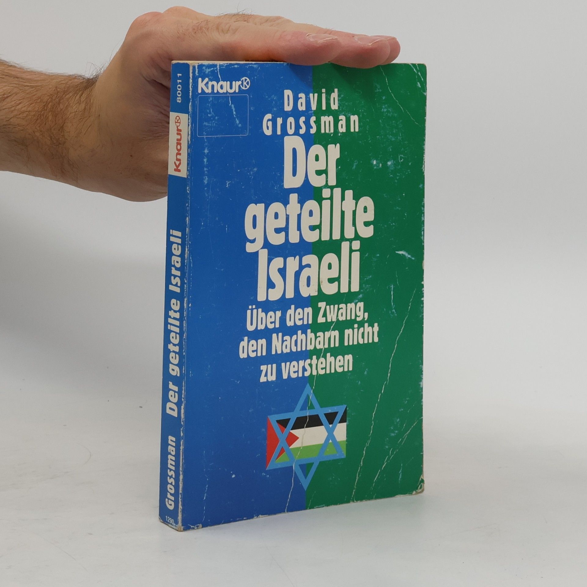David Grossman Der geteilte Israeli