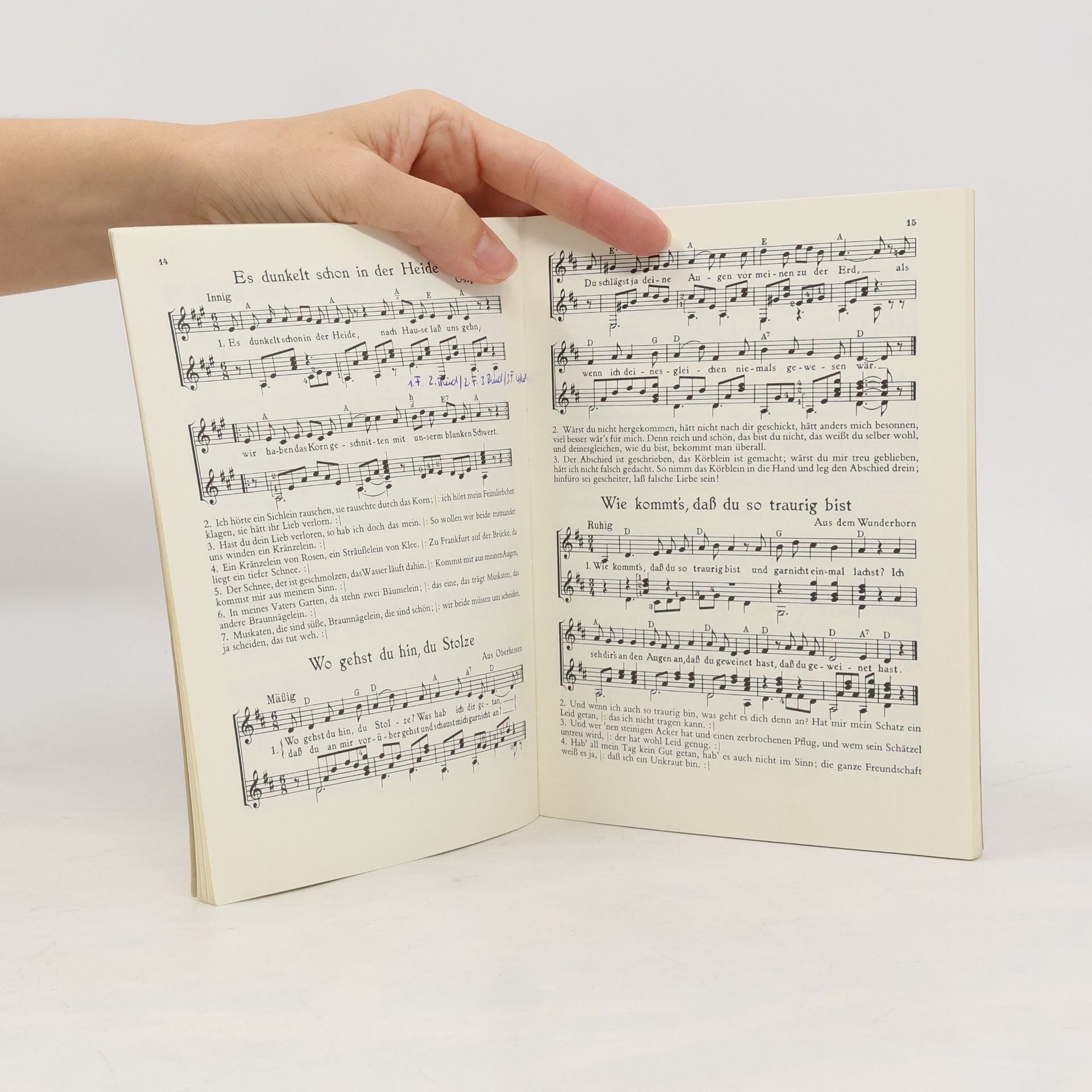 Walter Götze Der Lautenmusikant