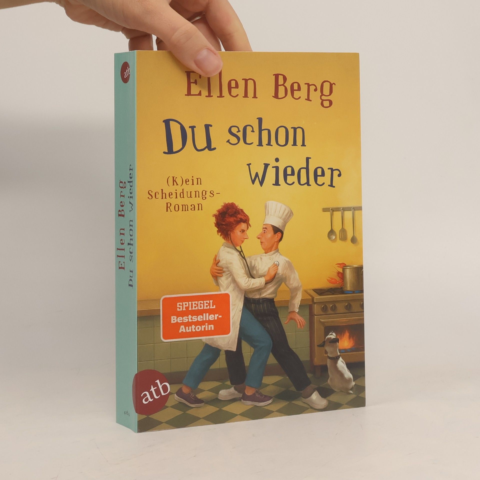 Du schon wieder: (K)ein Scheidungs-Roman