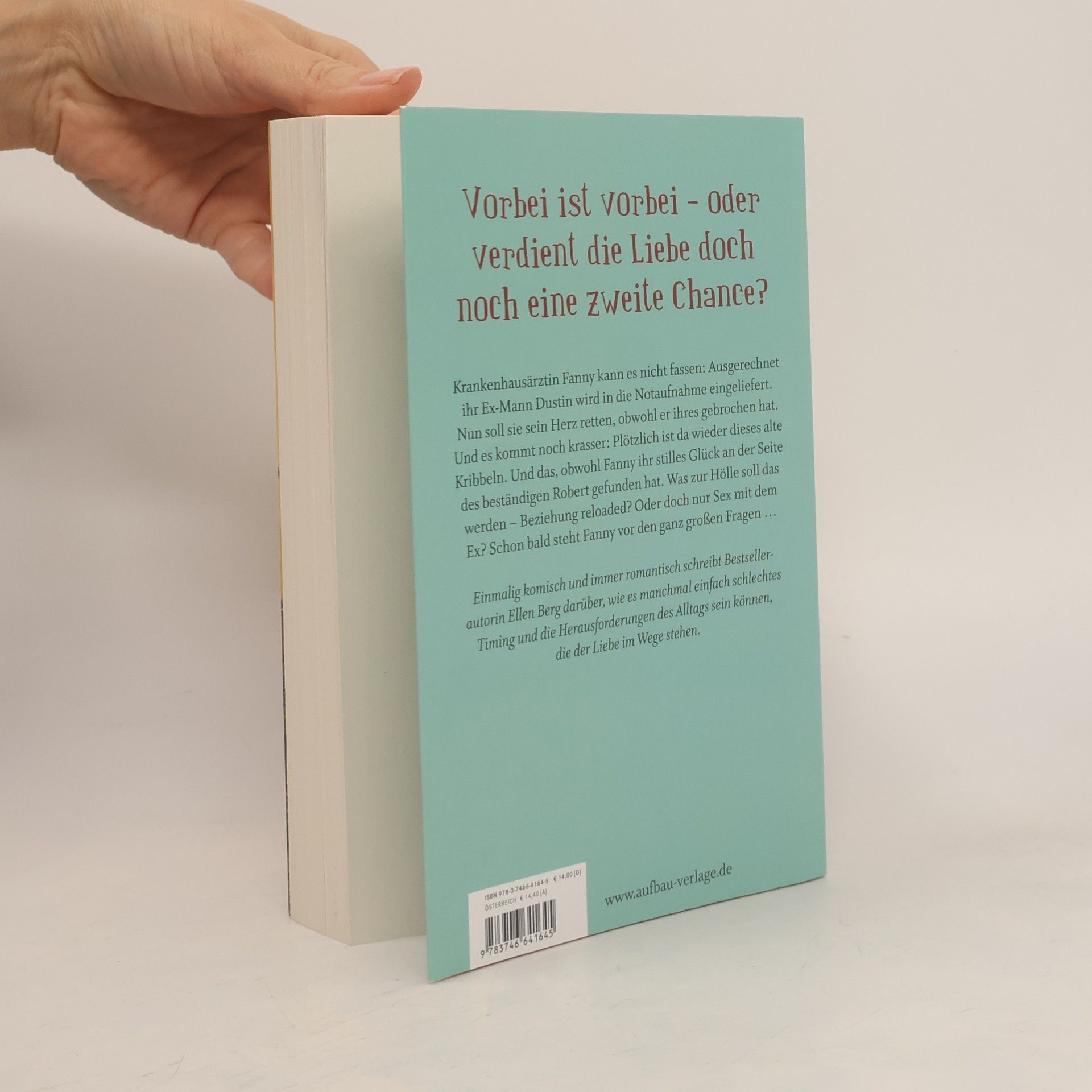 Ellen Berg Du schon wieder: (K)ein Scheidungs-Roman