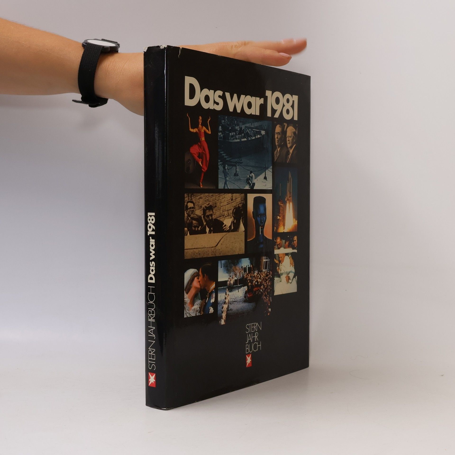 Collectif d'auteurs Das war 1981