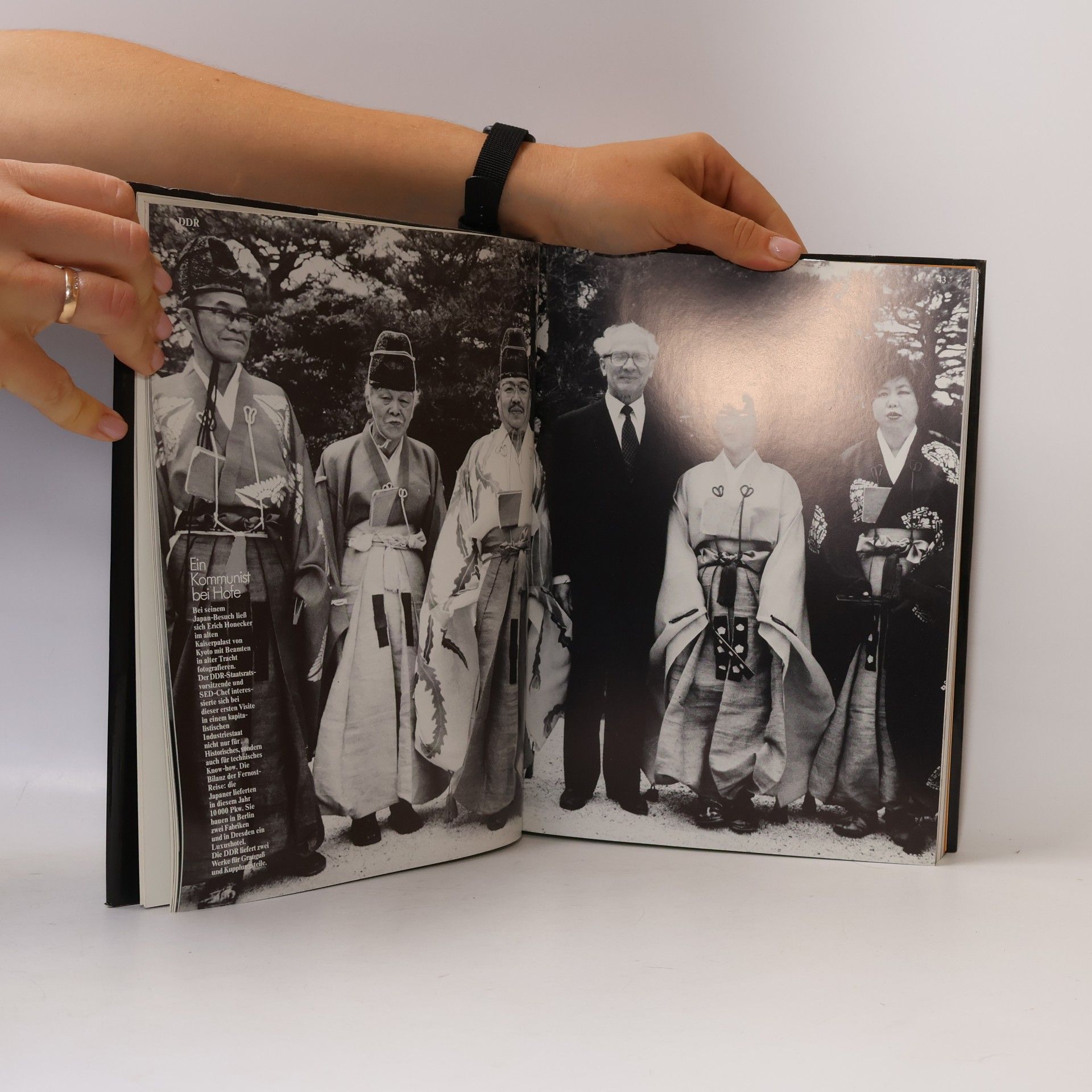 Collectif d'auteurs Das war 1981