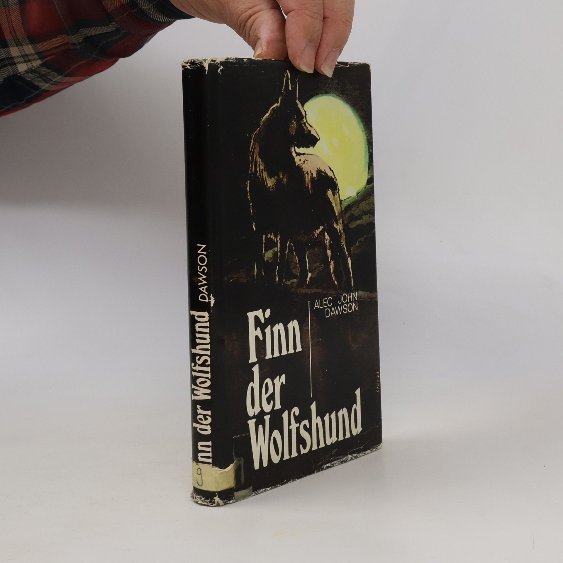 Finn der Wolfshund
