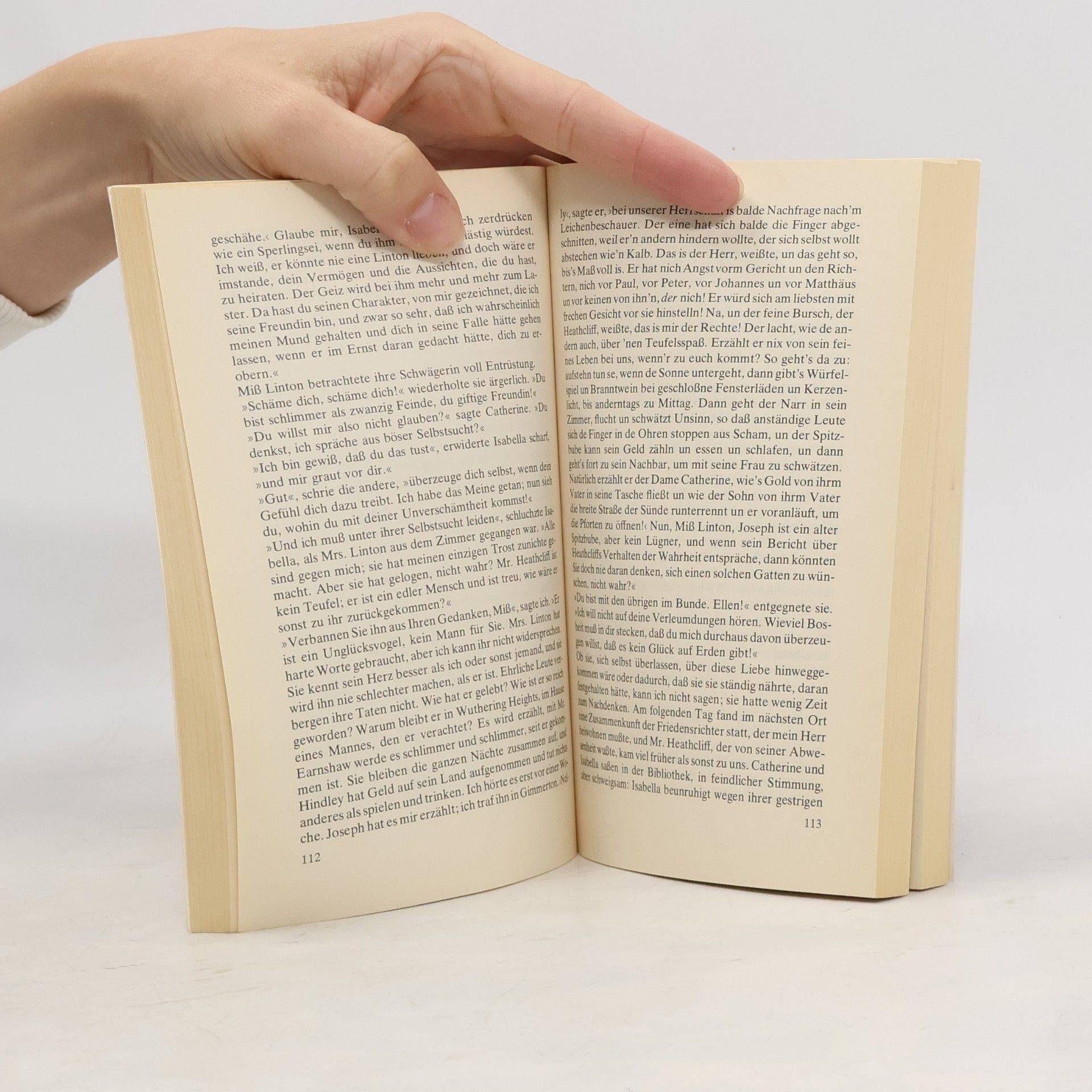 Emily Brontë Die Sturmhöhe