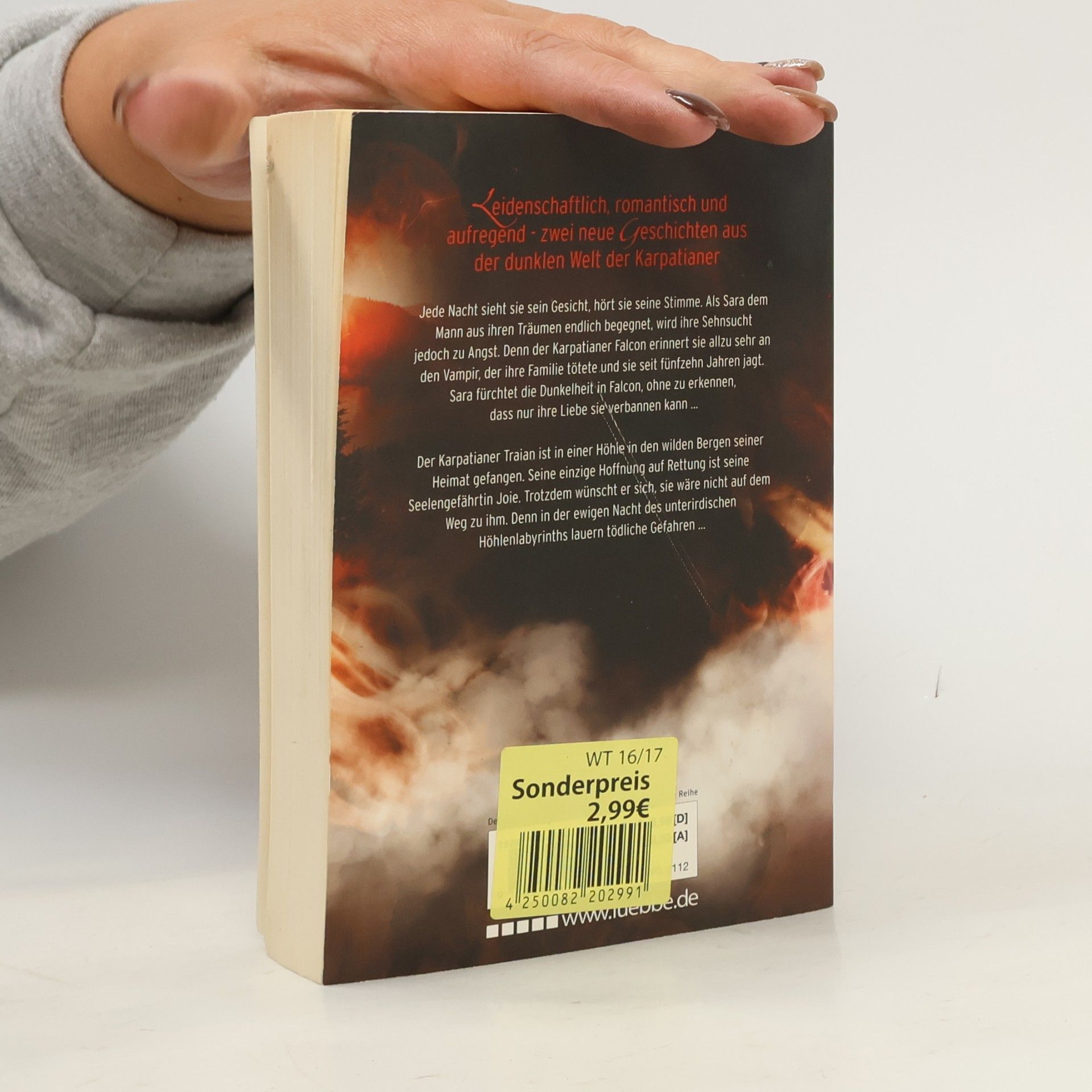 Christine Feehan Schwarzes Feuer des Verlangens