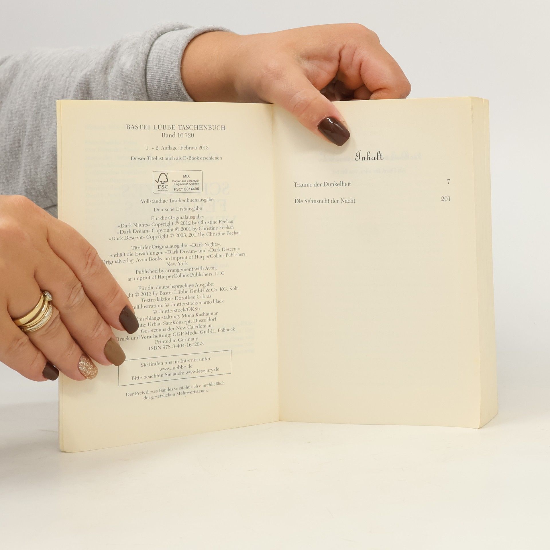 Christine Feehan Schwarzes Feuer des Verlangens