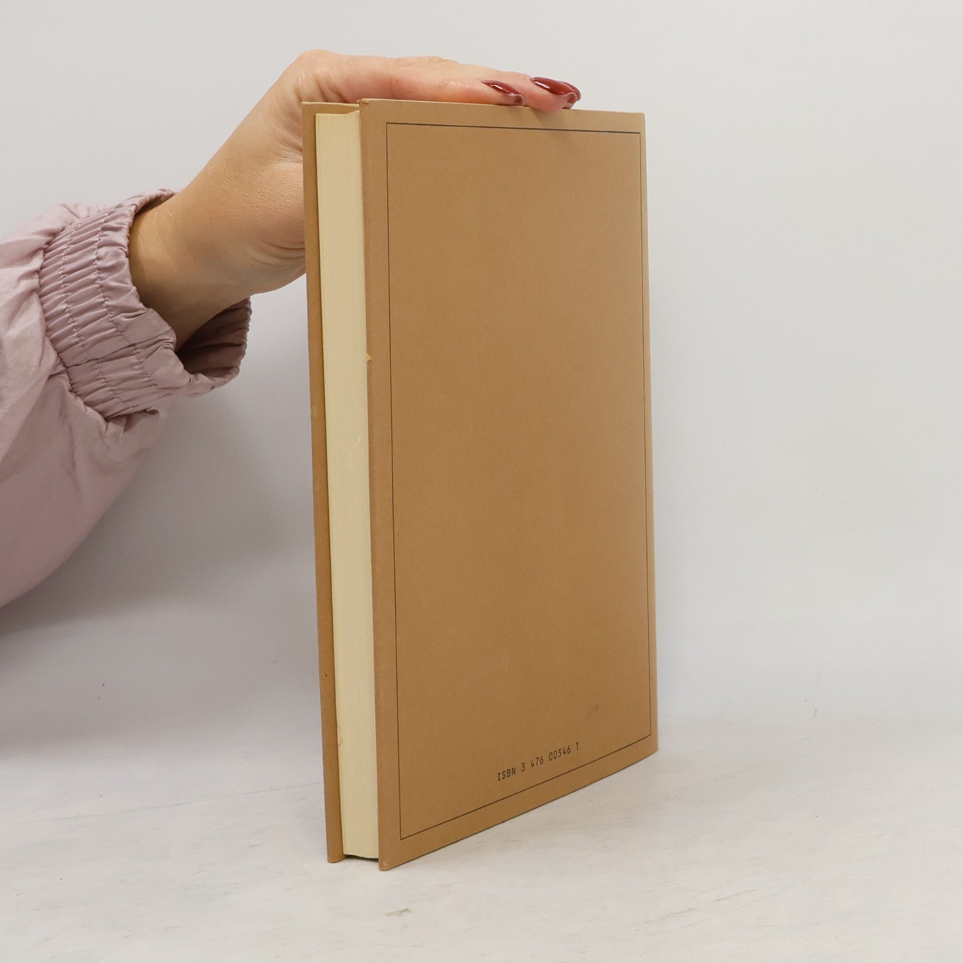 Arthur Henkel Kleine Schriften - 2: Der Zeiten Bildersaal