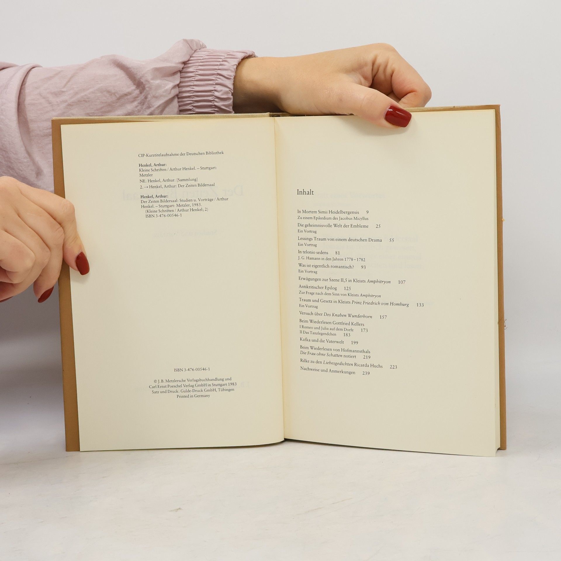 Arthur Henkel Kleine Schriften - 2: Der Zeiten Bildersaal