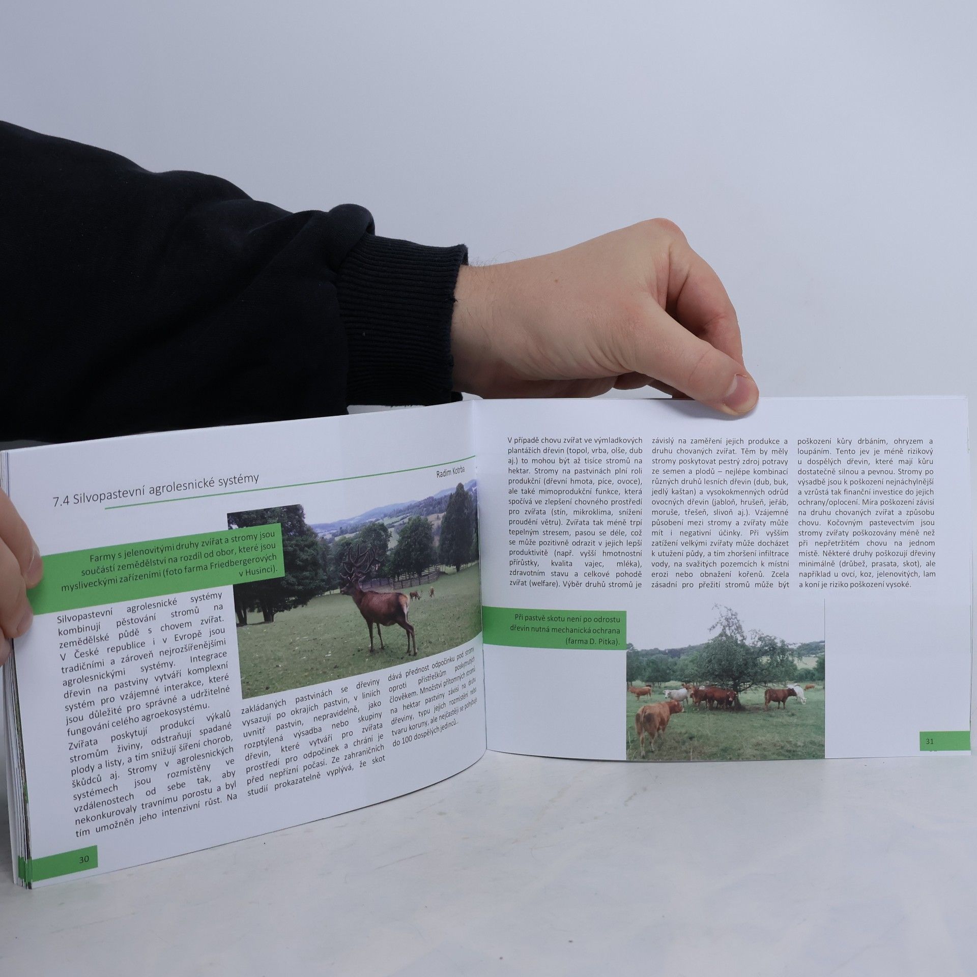 Antonín Martiník Když se řekne agrolesnictví