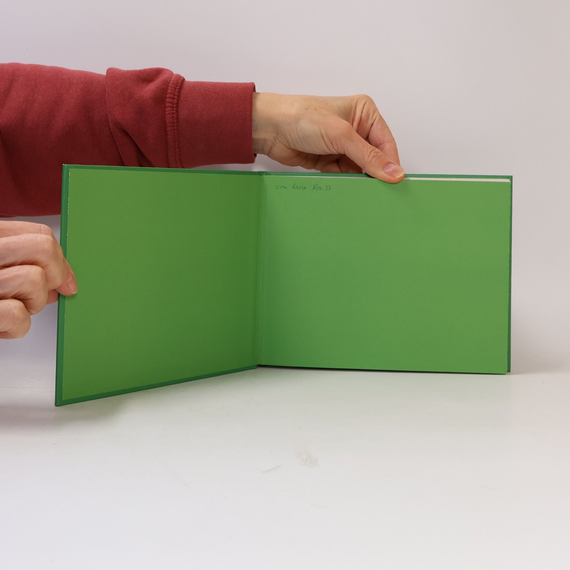 Hartmut Ronge Maria war nur schwanger bis zur Geburt – Adventskalender mit 24 Kinderweisheiten