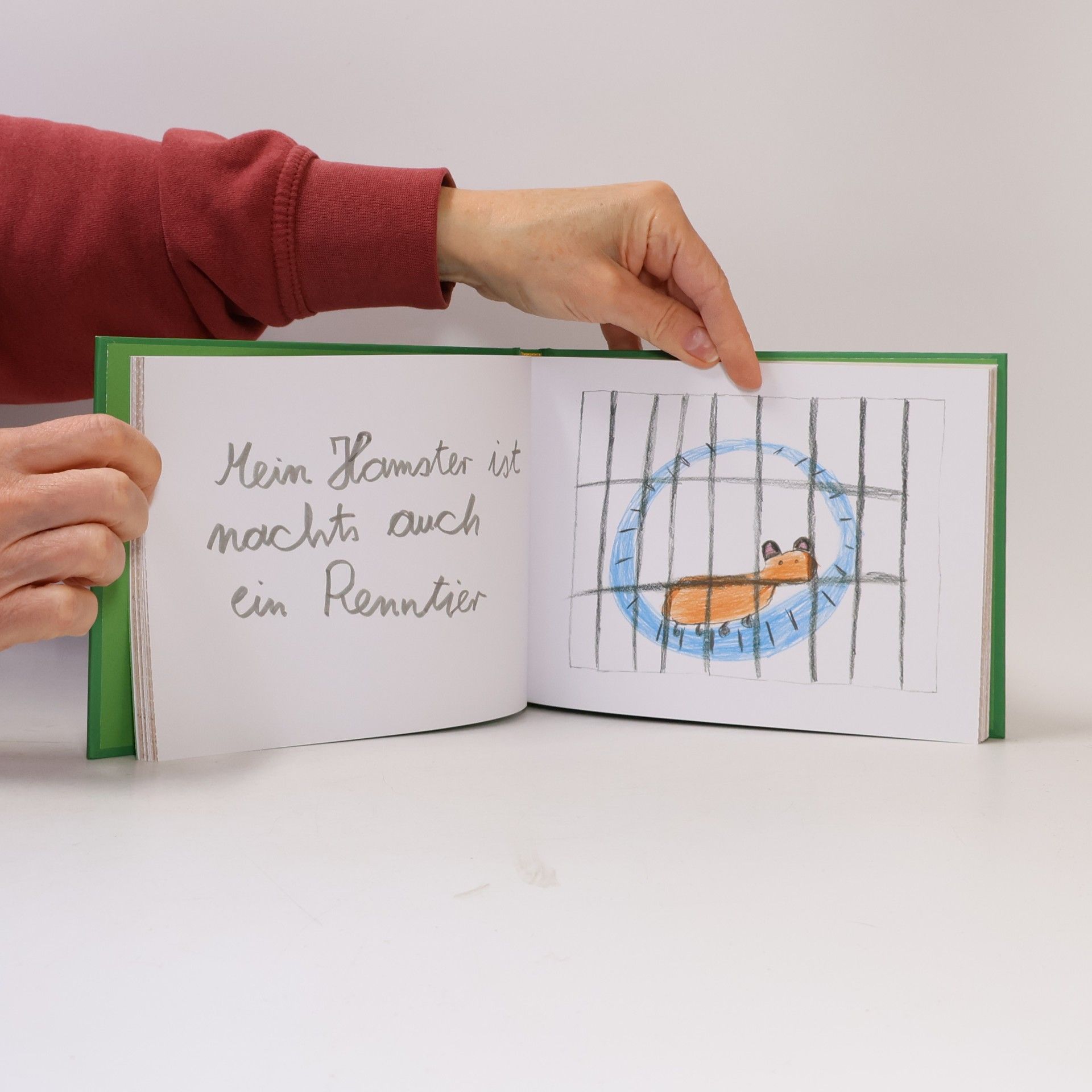 Hartmut Ronge Maria war nur schwanger bis zur Geburt – Adventskalender mit 24 Kinderweisheiten