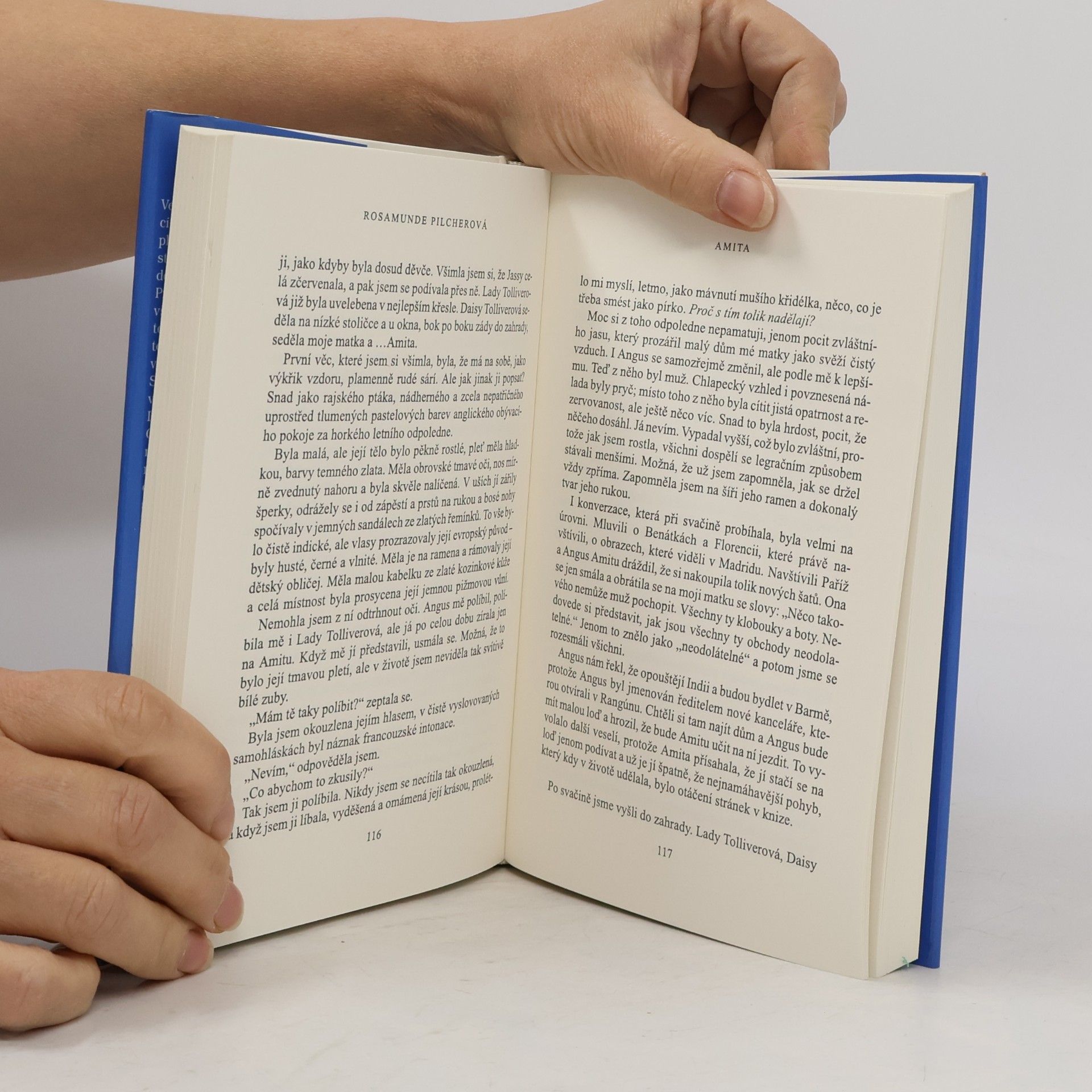 Rosamunde Pilcher Modrá ložnice a jiné povídky