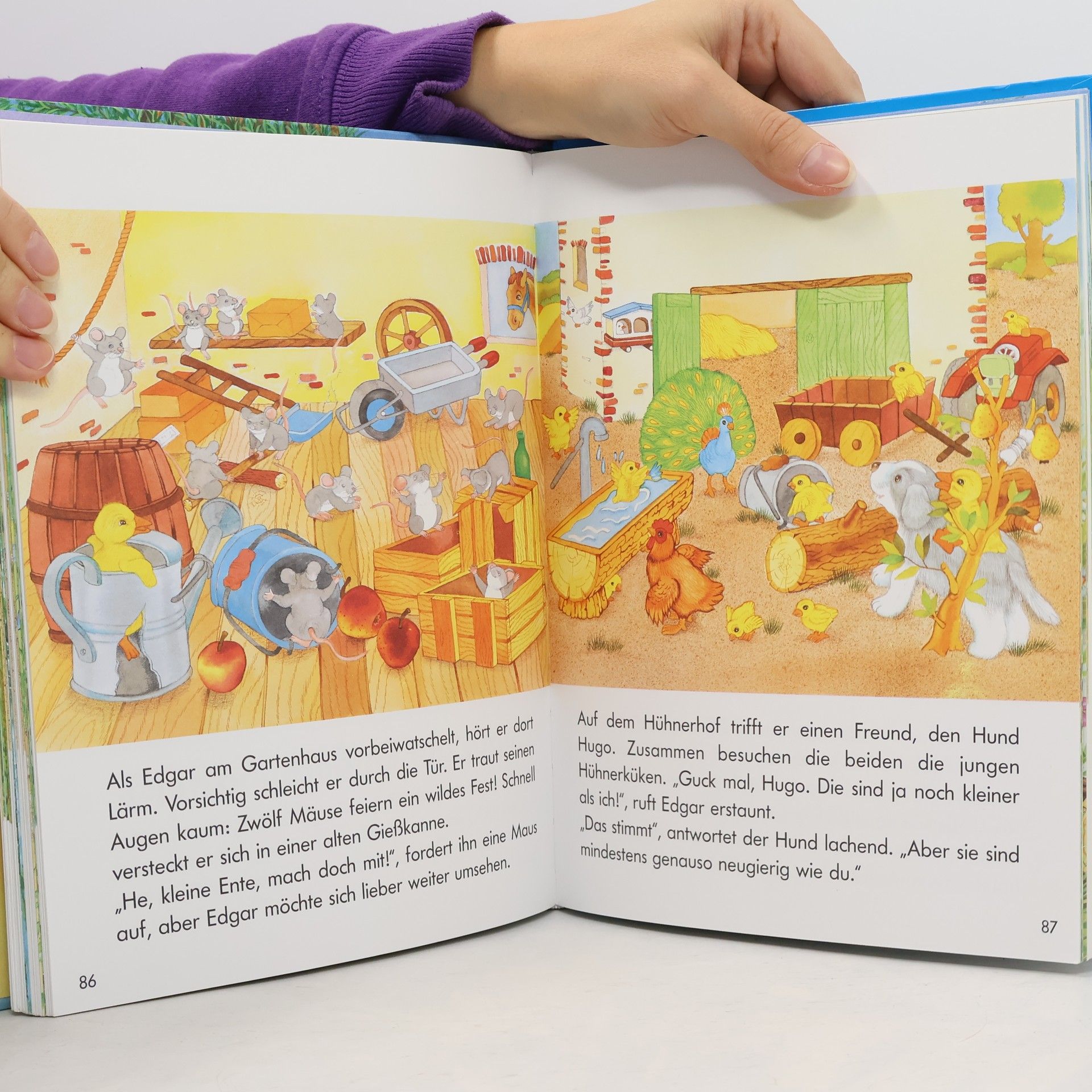 Bob Bampton Mein grosses Tiergeschichtenbuch