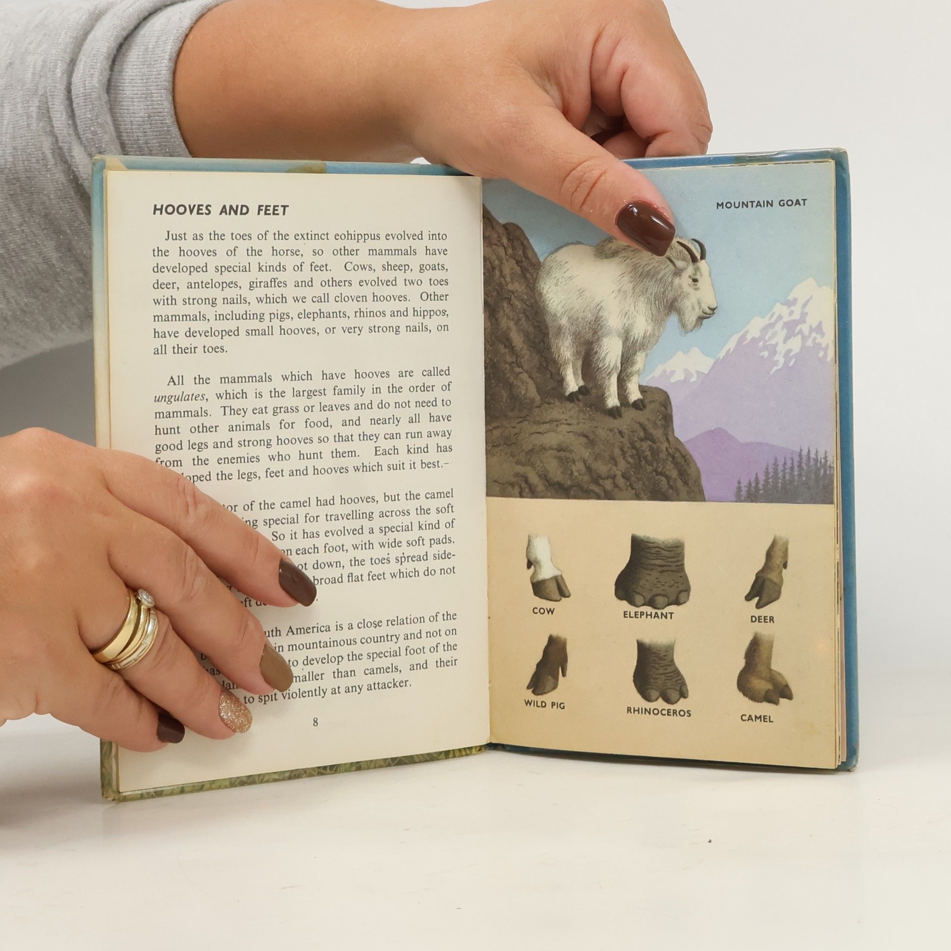 F. E. Newing Animals and How They Live