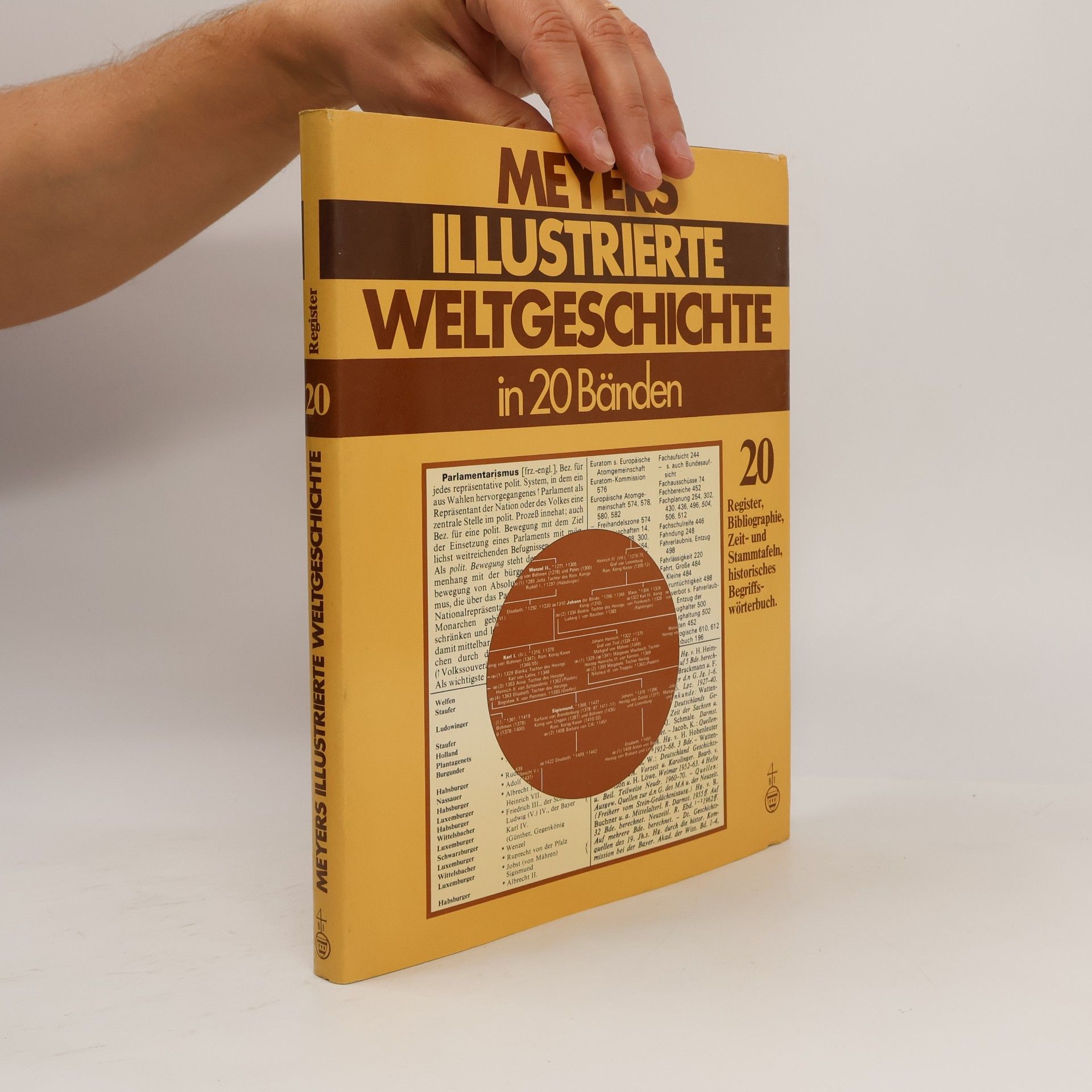 Meyers Illustrierte Weltgeschichte 20