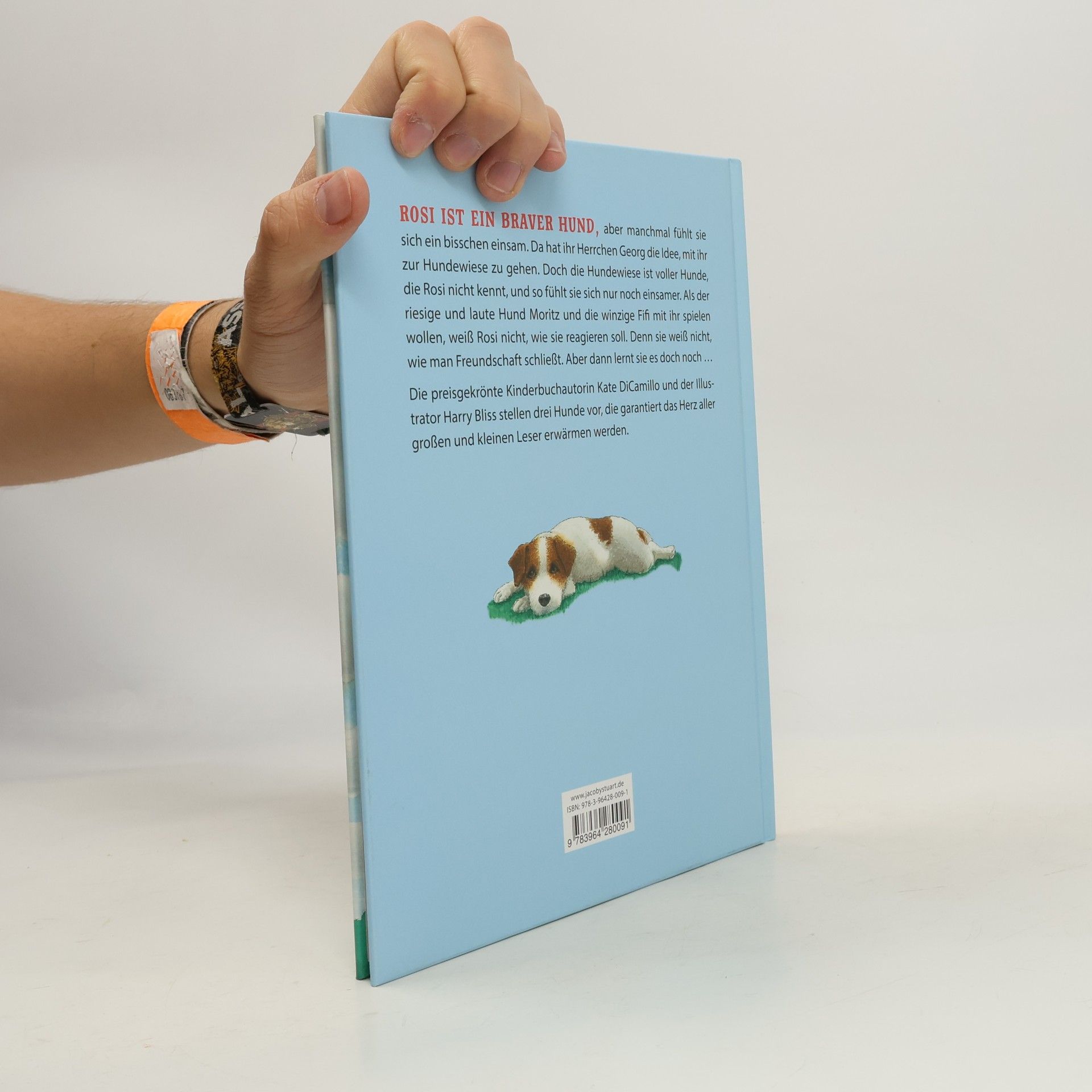 Kate DiCamillo Zwei Freunde für Rosi