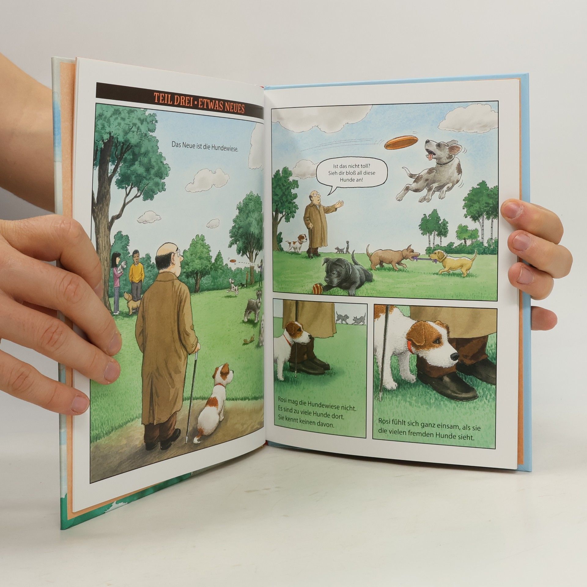 Kate DiCamillo Zwei Freunde für Rosi