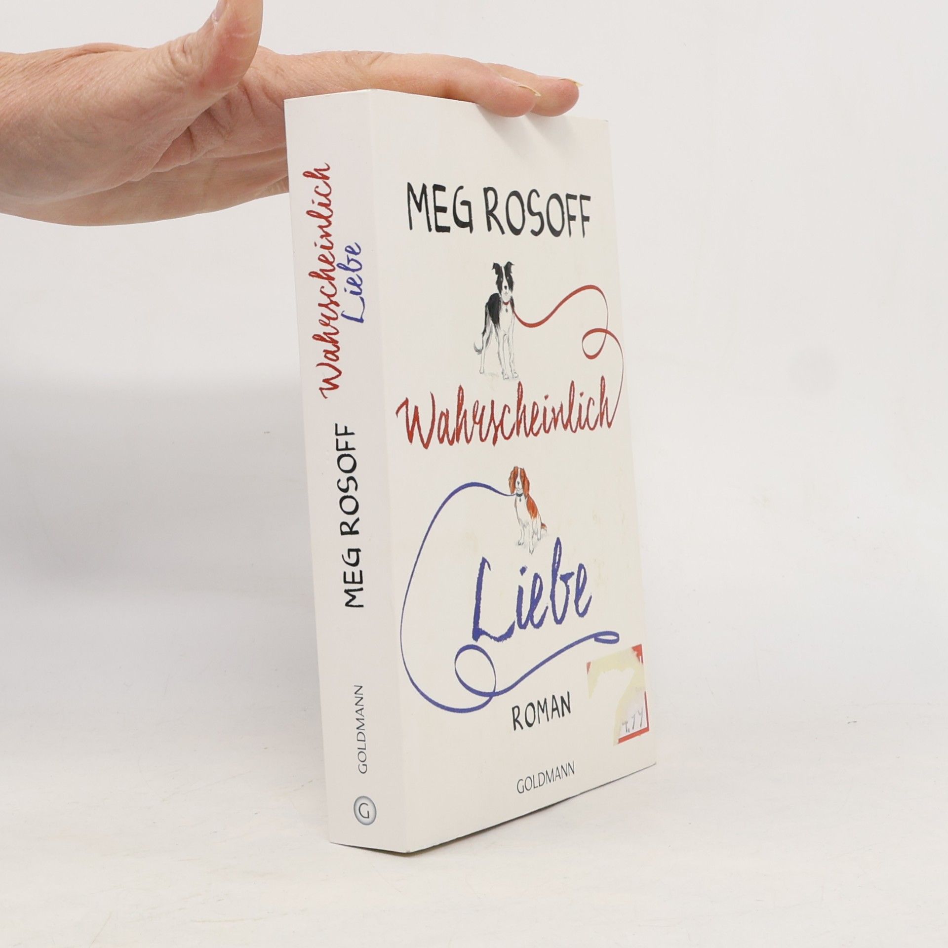Meg Rosoff Wahrscheinlich Liebe