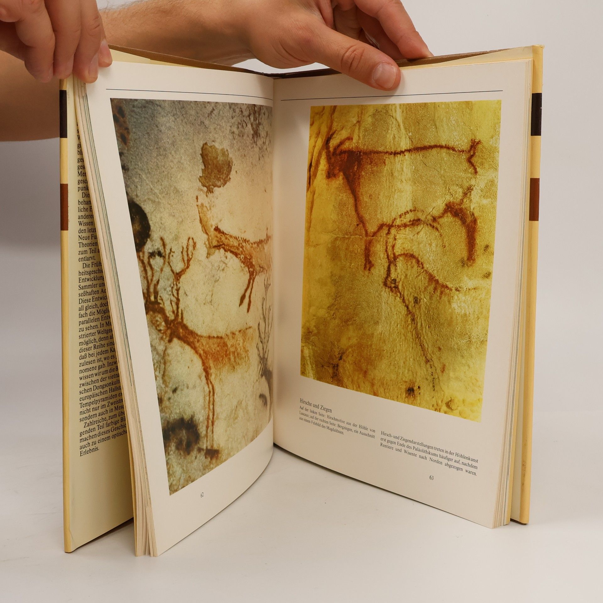 Various authors Meyers illustrierte Weltgeschichte 1