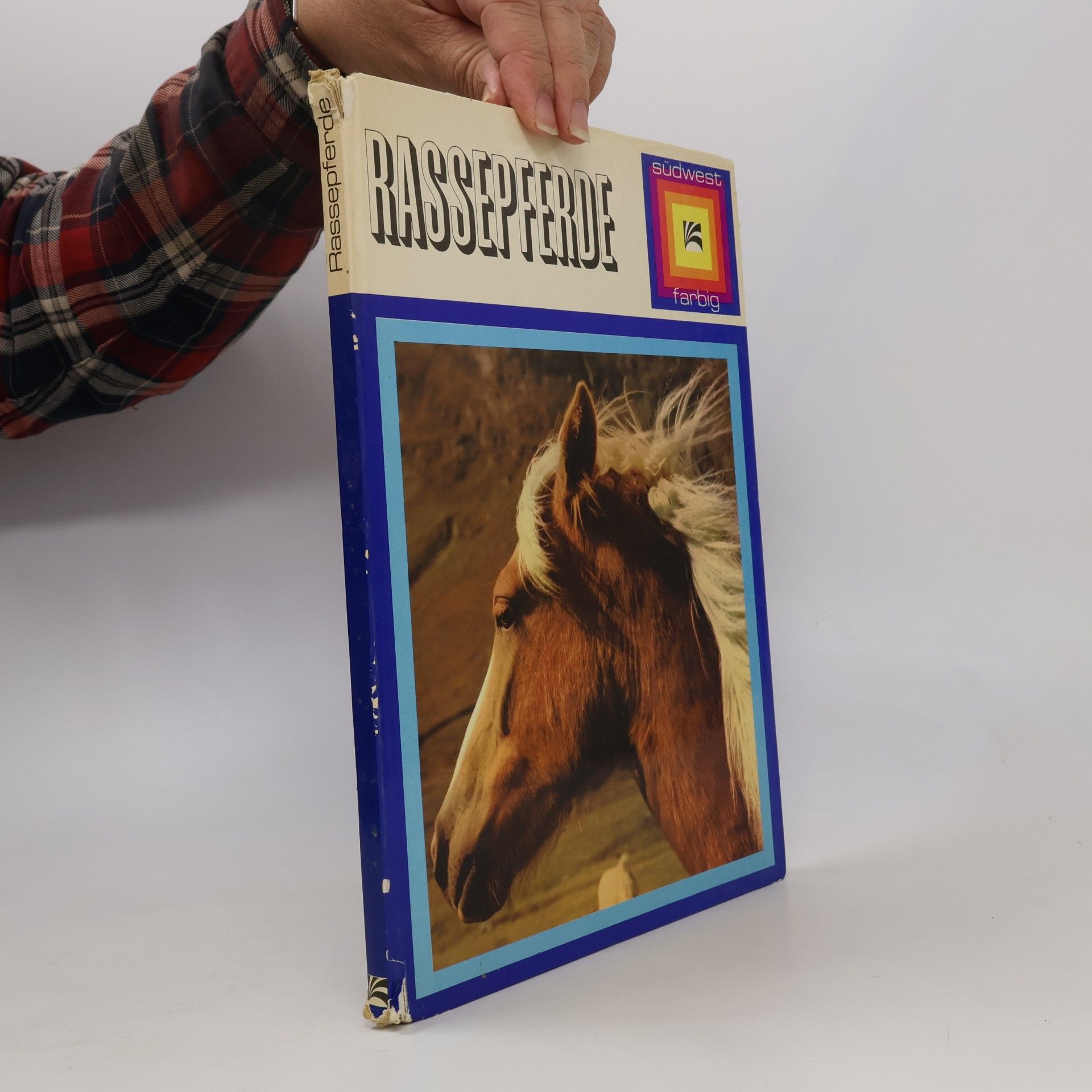 Nereo Lugli Rassepferde