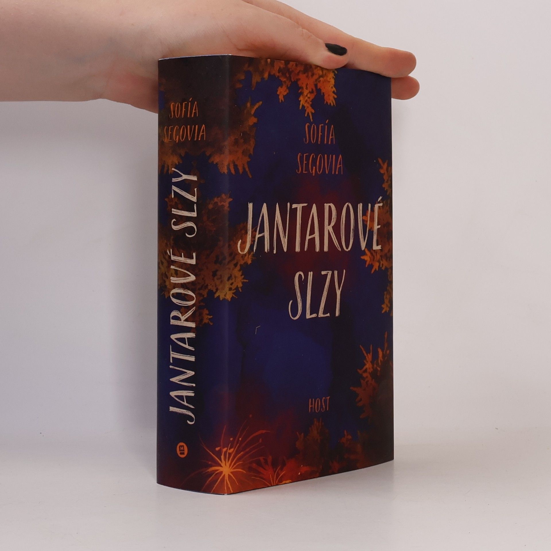 Romana Bičíková Jantarové slzy