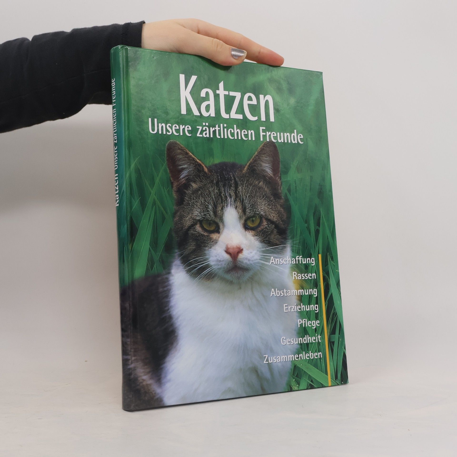 Katzen