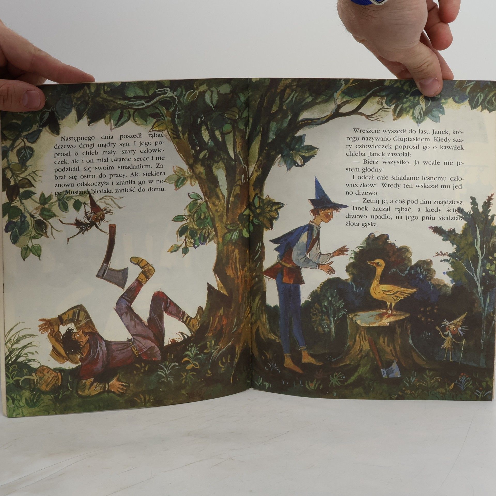 Wilhelm Grimm Złota Gąska